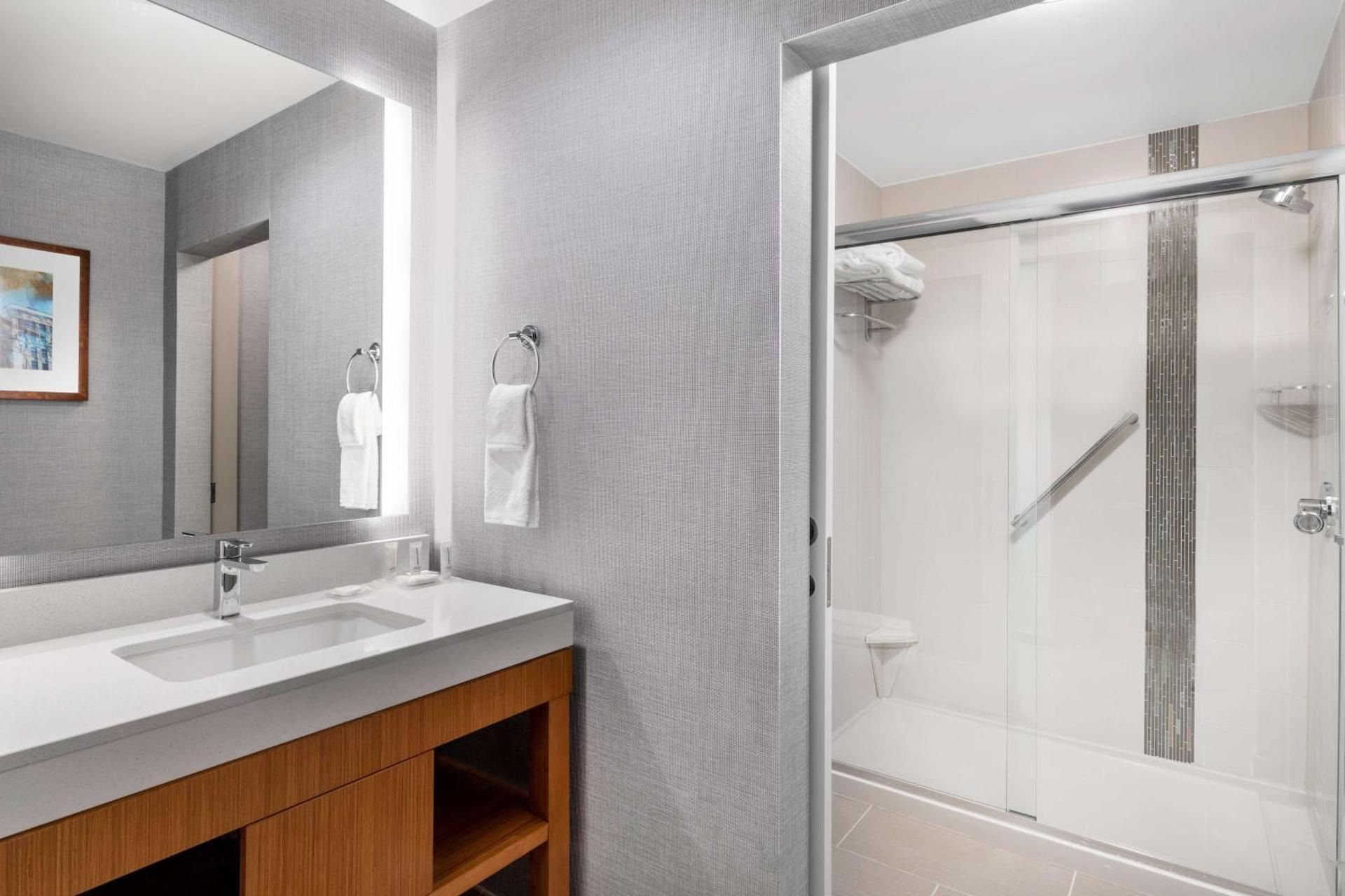 Specialty King Room with Sofa Bed