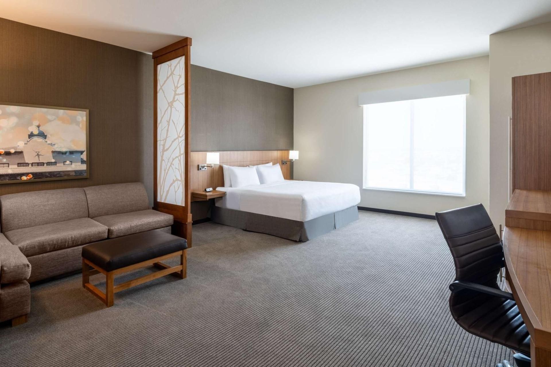 Hyatt Place Fort Worth - Alliance Town Center King Room with Roll-In Shower and sofa bed - Disability Access