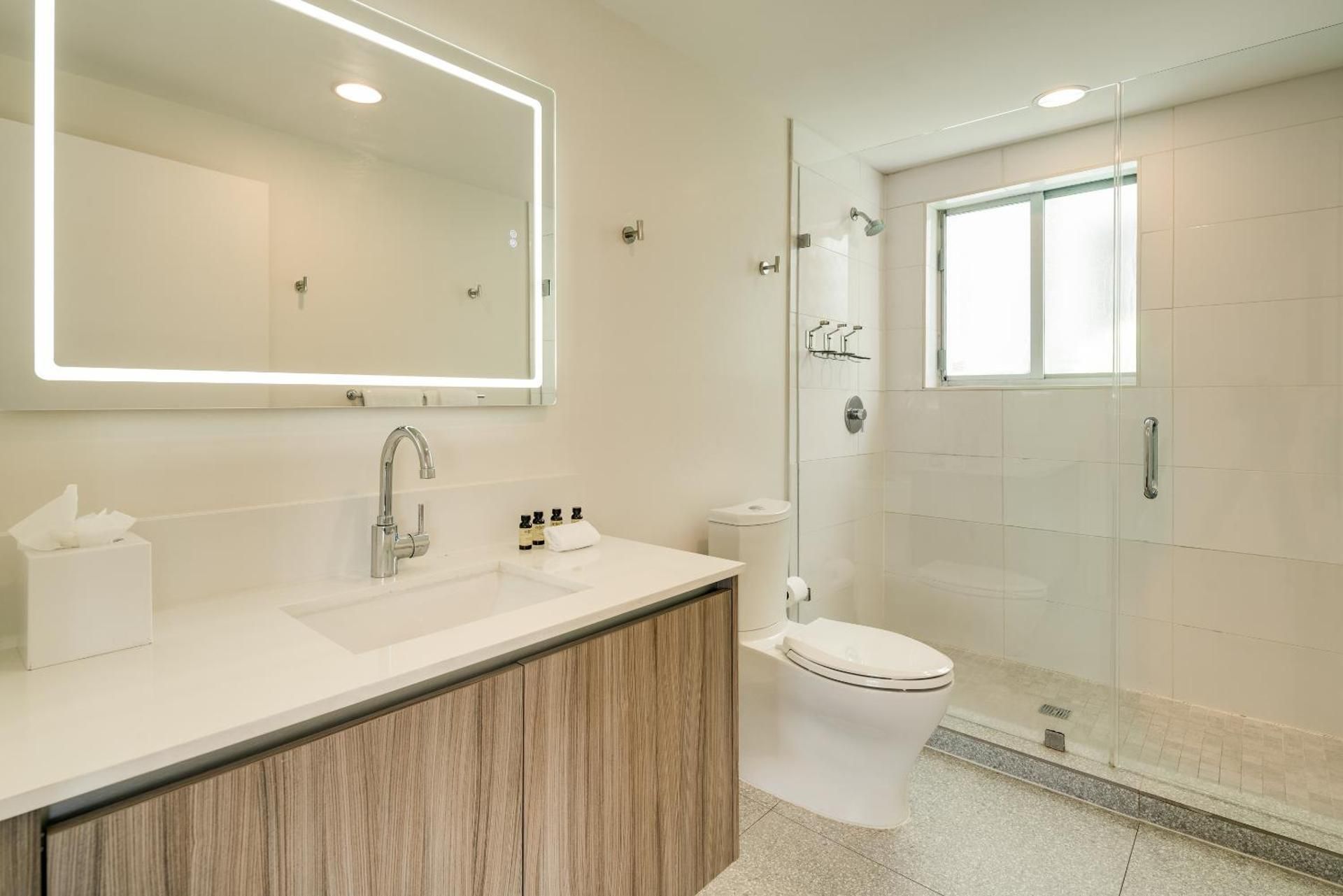 Premium One Bedroom Suite King