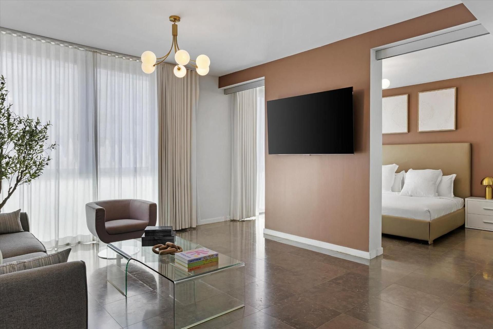 Deluxe One-Bedroom Apartment