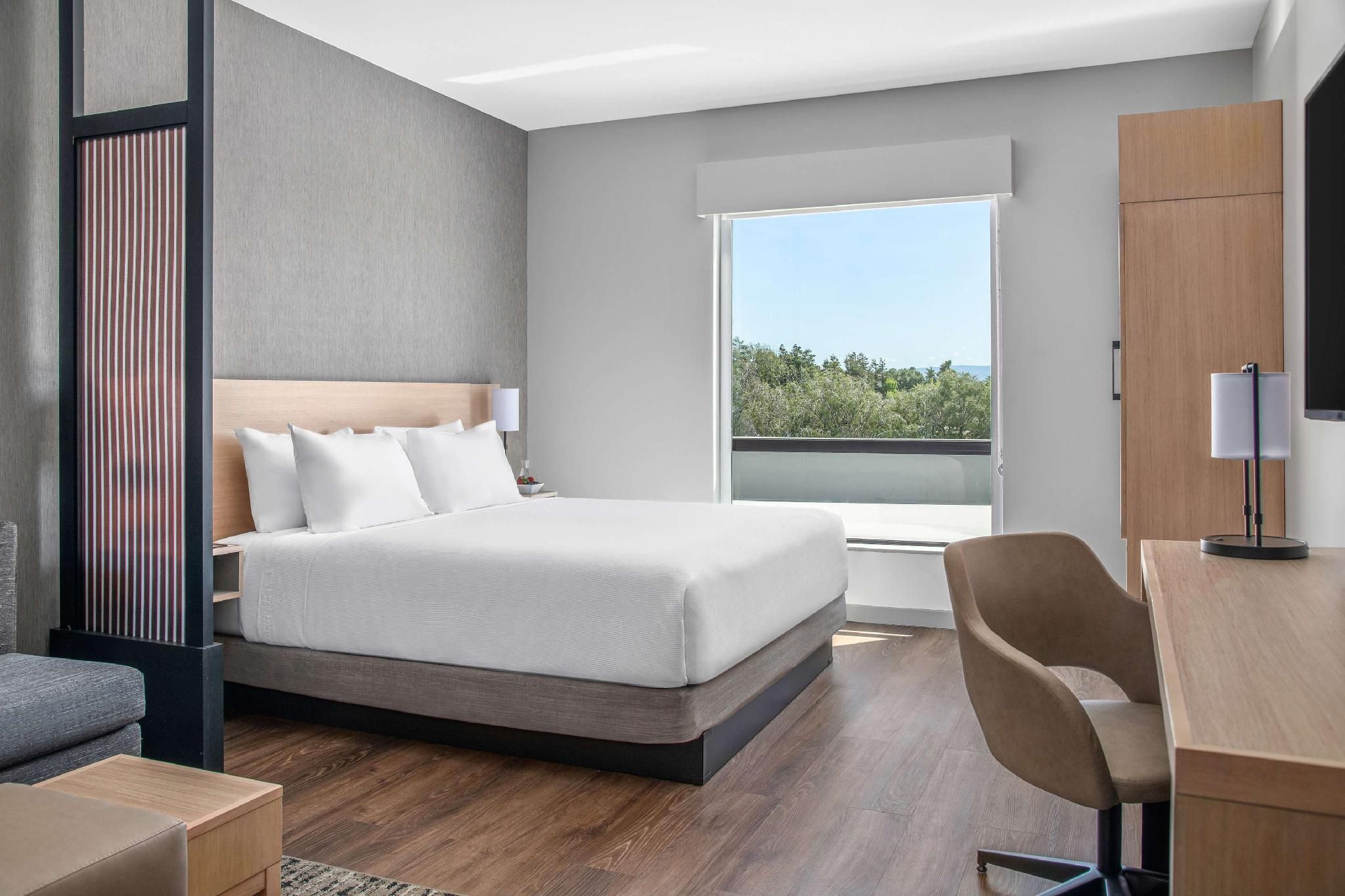 King Bed (Plus Sofa Bed)