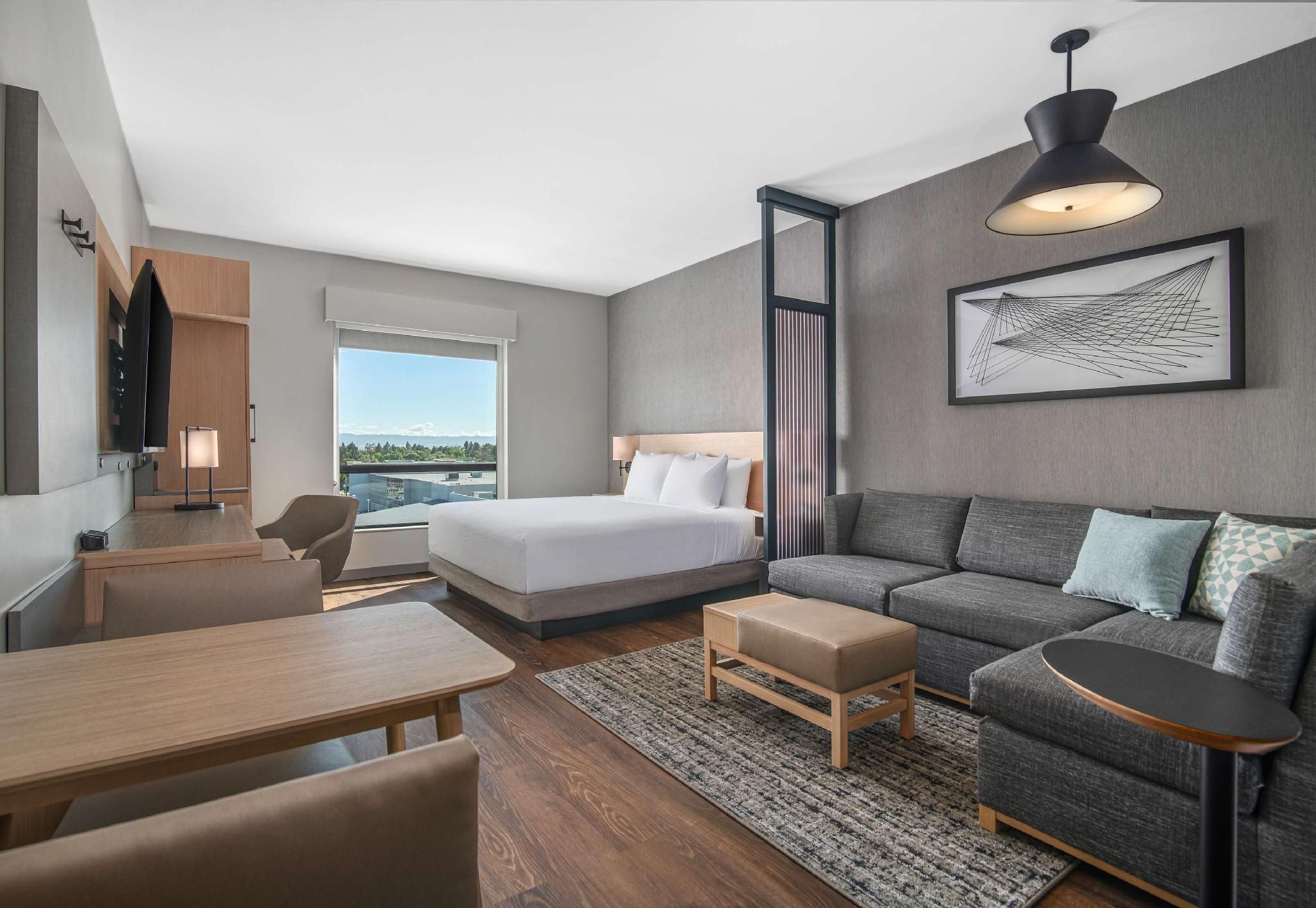 Specialty King Bed (Plus Sofa Bed)