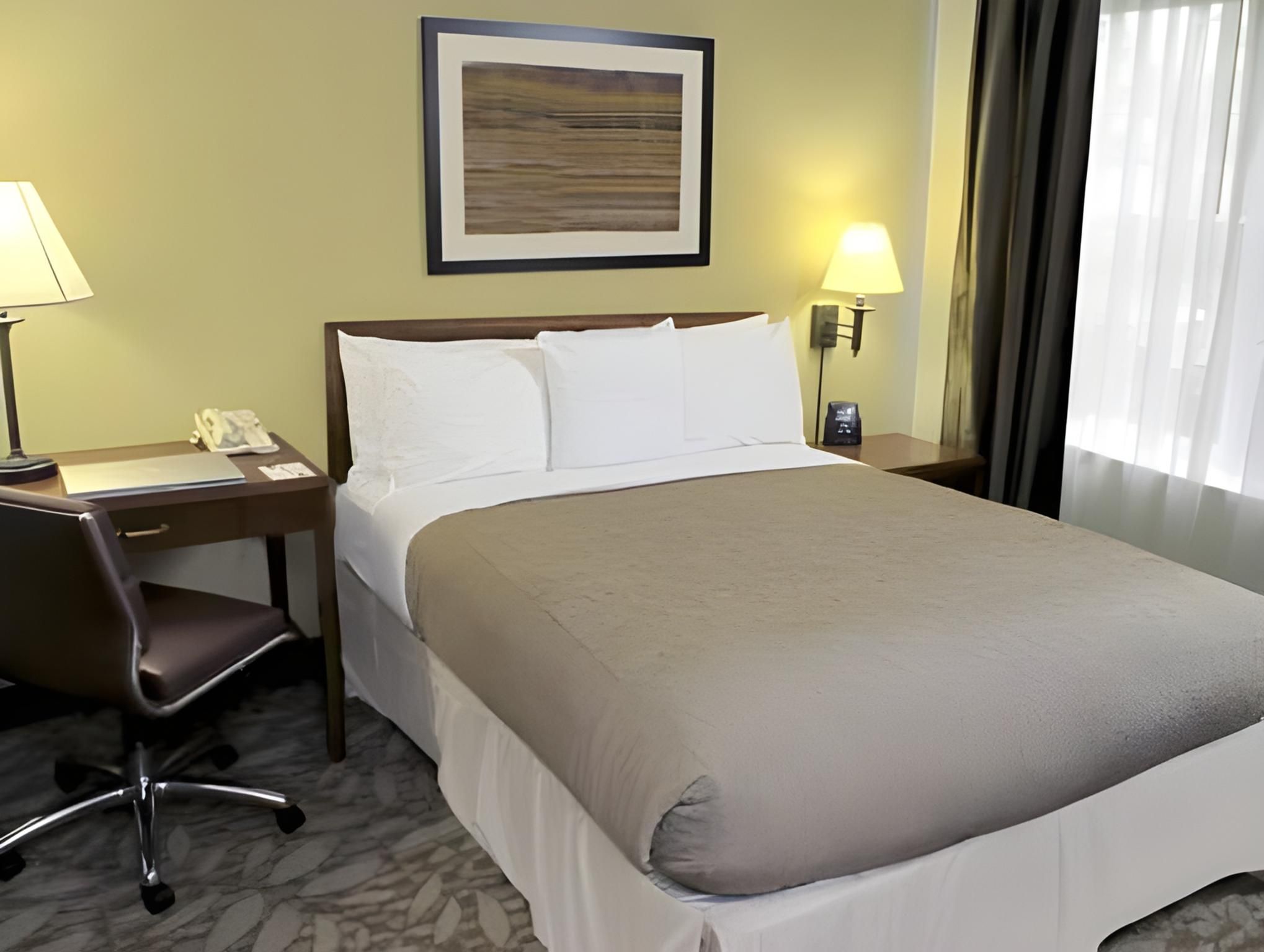 Deluxe Suite