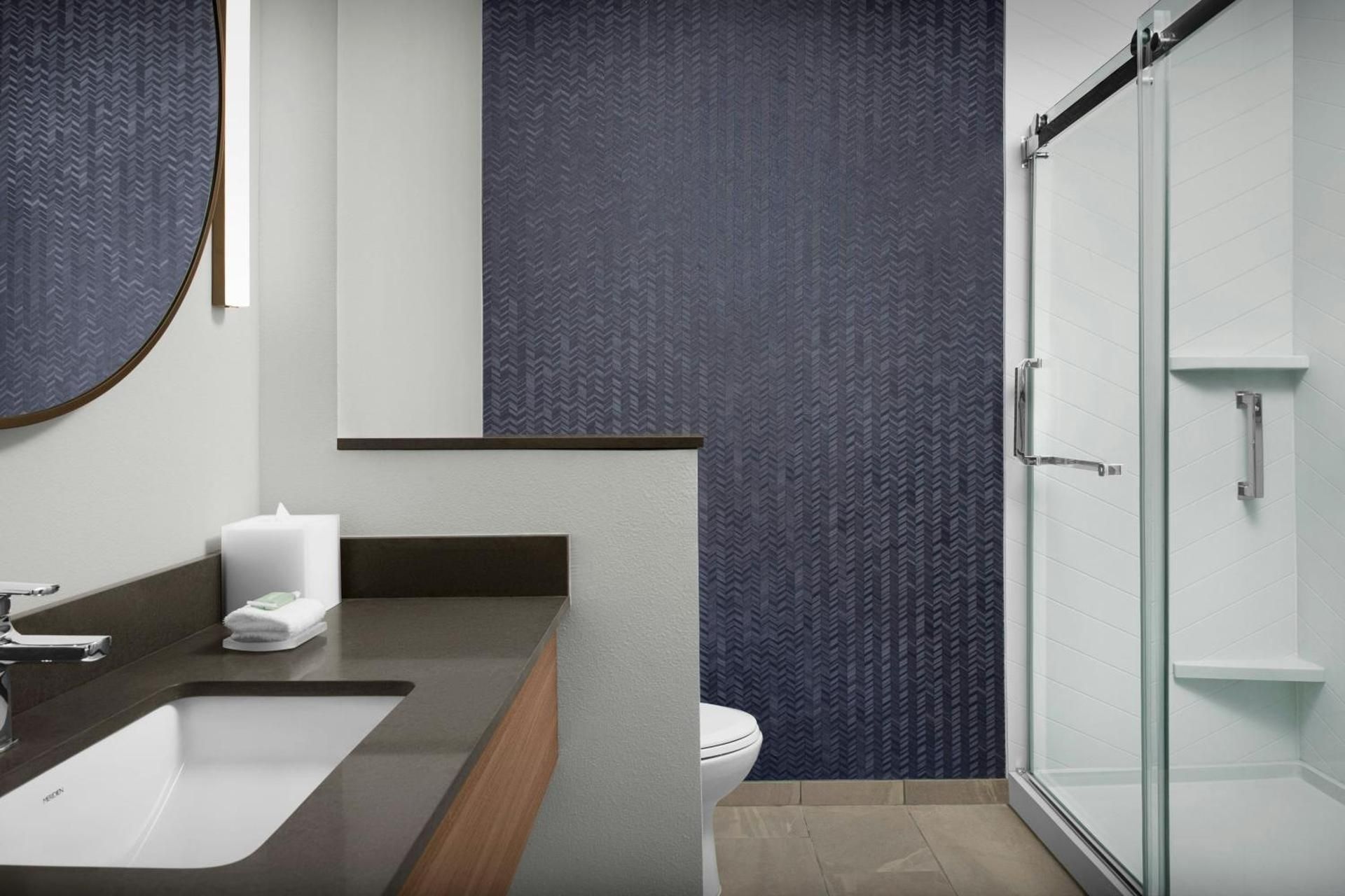 King Suite with Sofa Bed - Mobility Accessible with Roll-in Shower