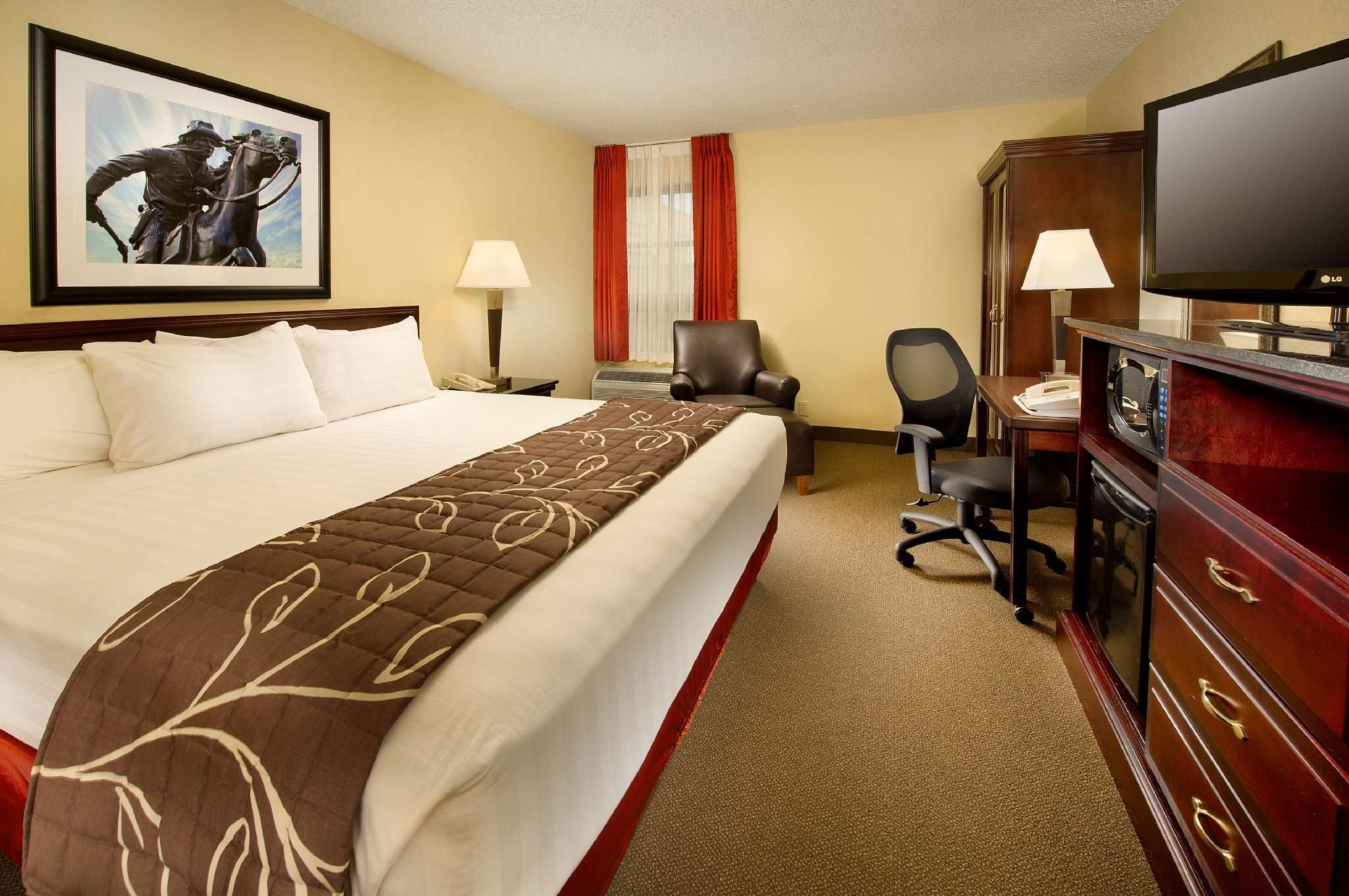 1 King Bed