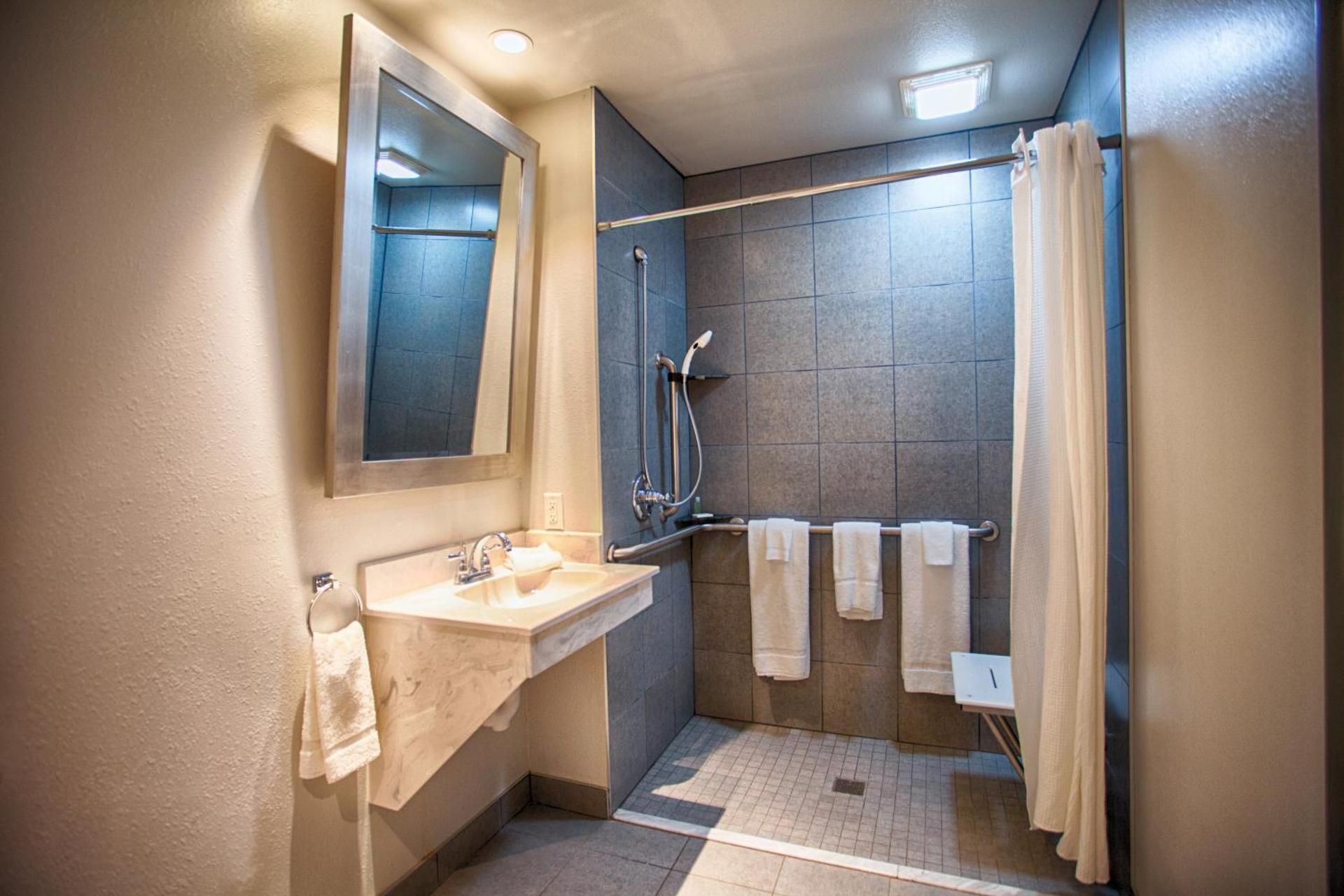 King Suite - Disability Access with Kitchenette