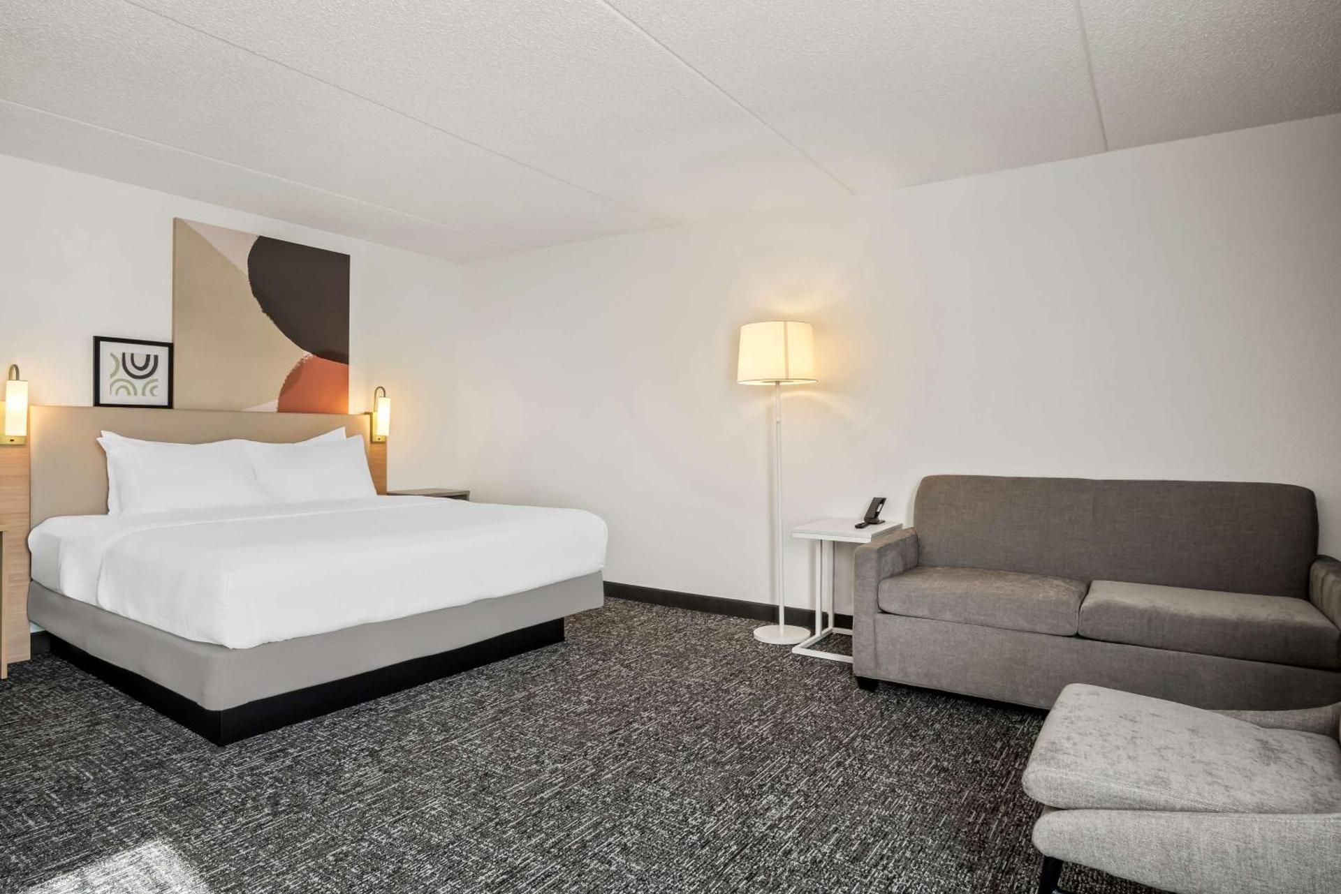 1 KING BED WITH SOFA