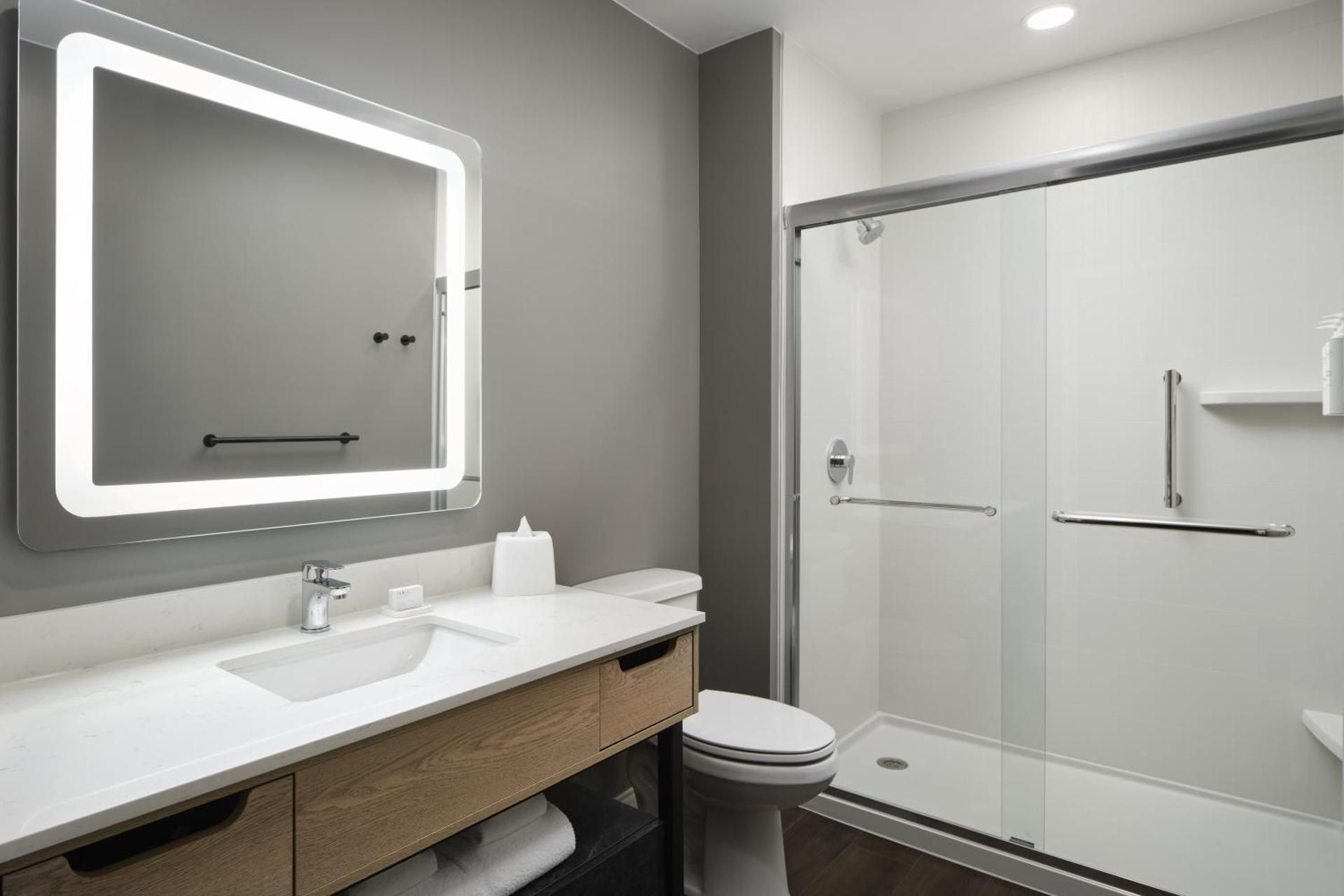 1 King Studio Suite Hearing Accessible