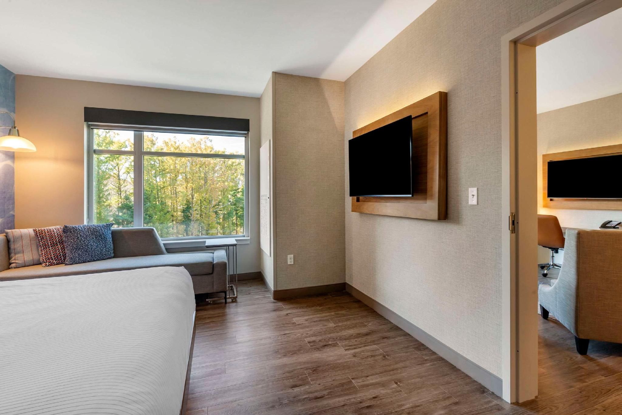 1 King Bed, Suite, Nonsmoking, Accessible