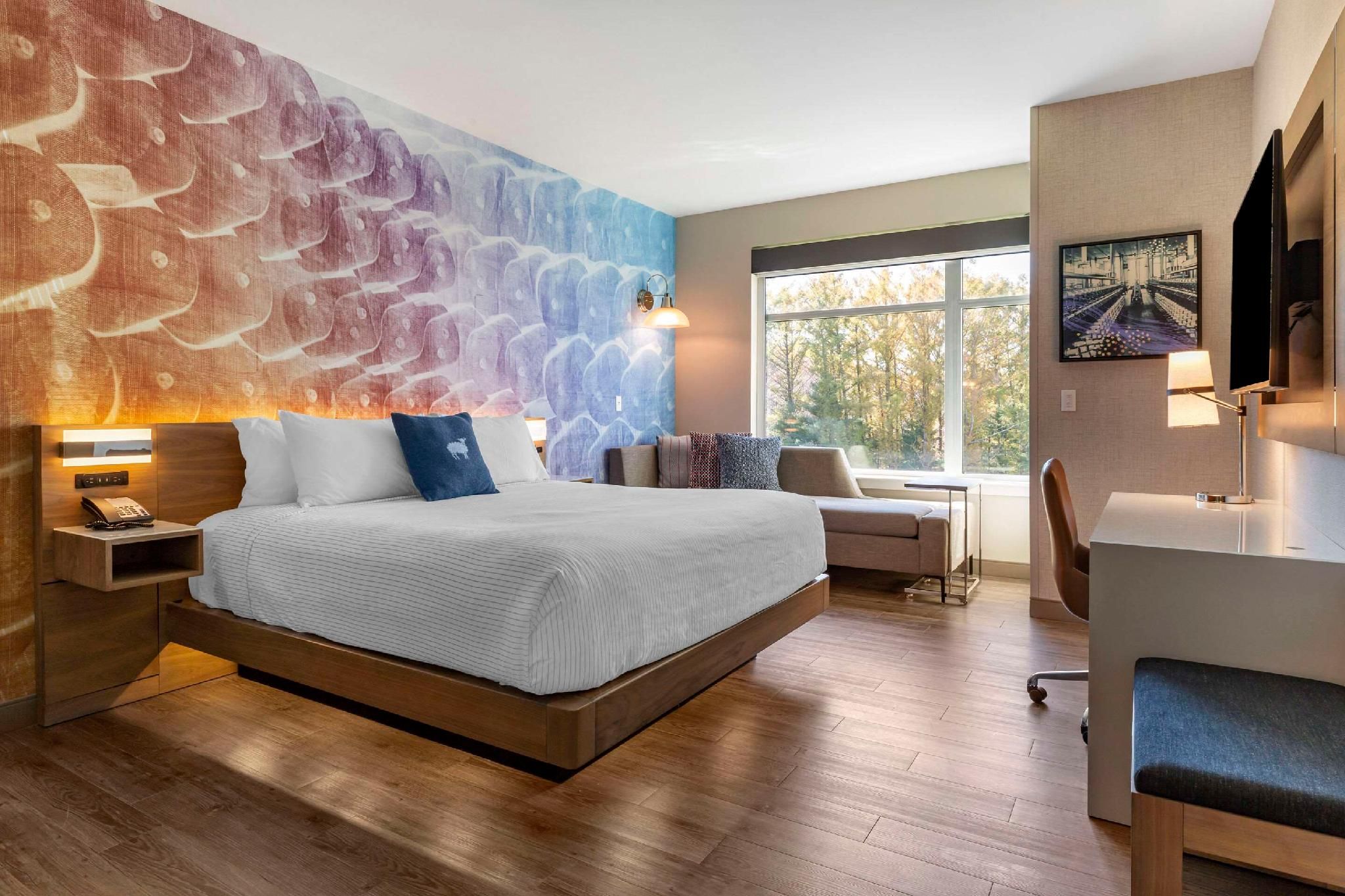 1 King Bed, Nonsmoking, Accessible