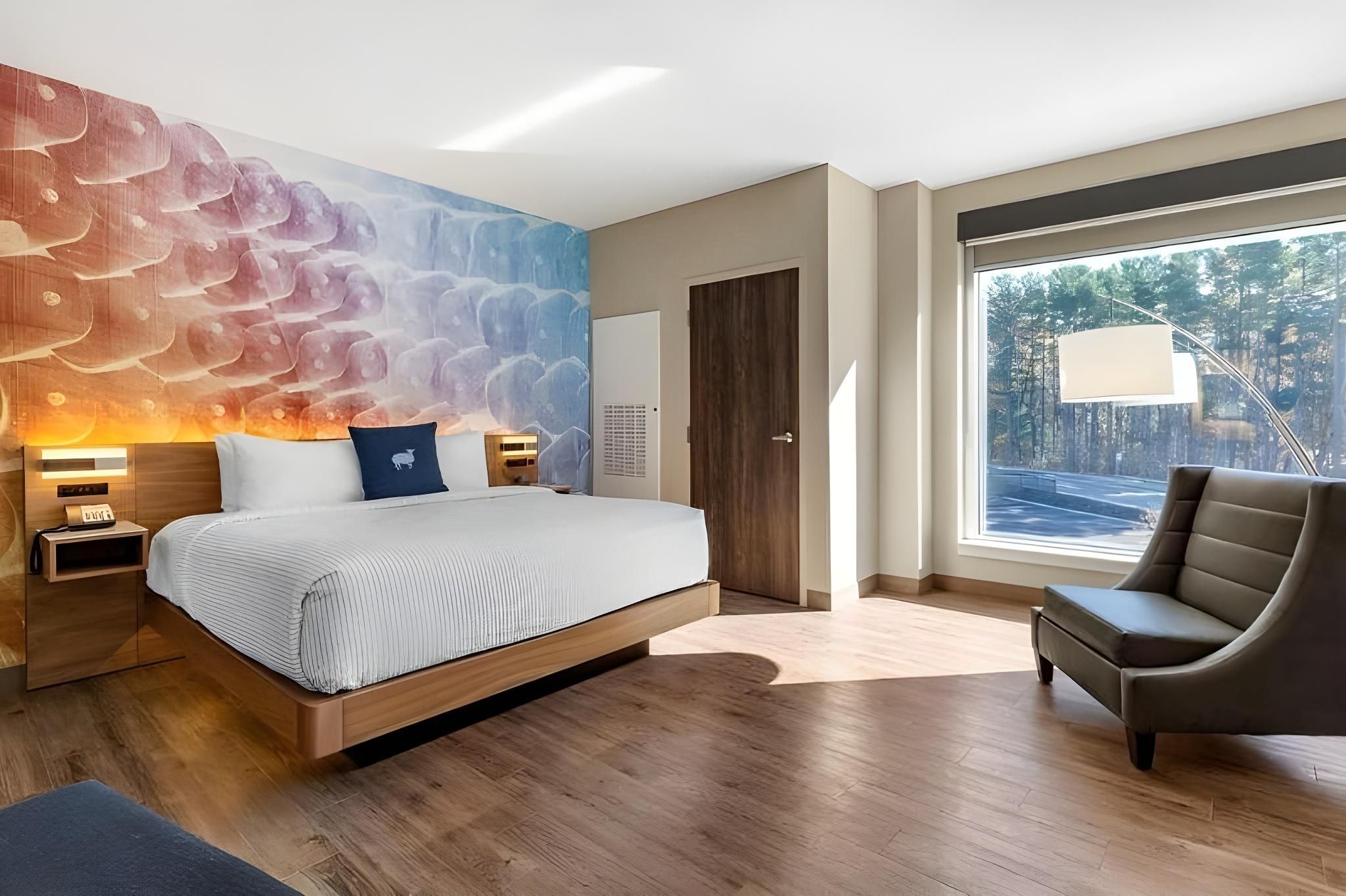 1 King Bed, Nonsmoking