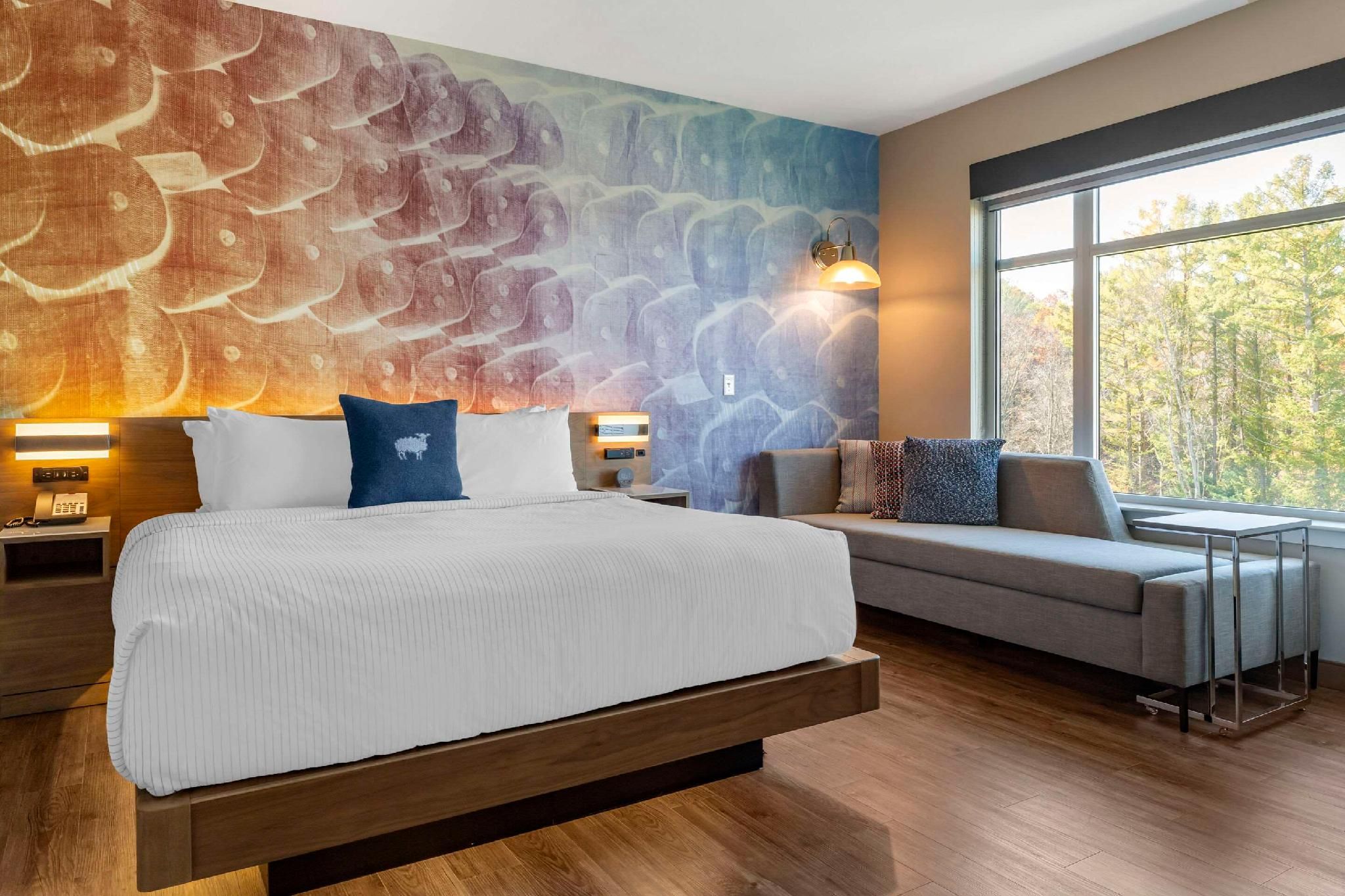 1 King Bed, Suite, Nonsmoking