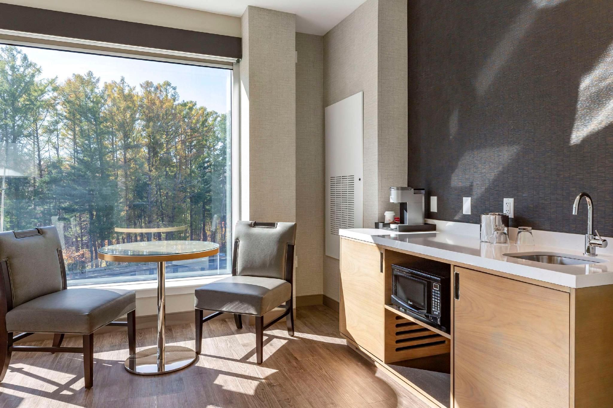 1 King Bed, Efficiency, Suite, Nonsmoking, Accessible