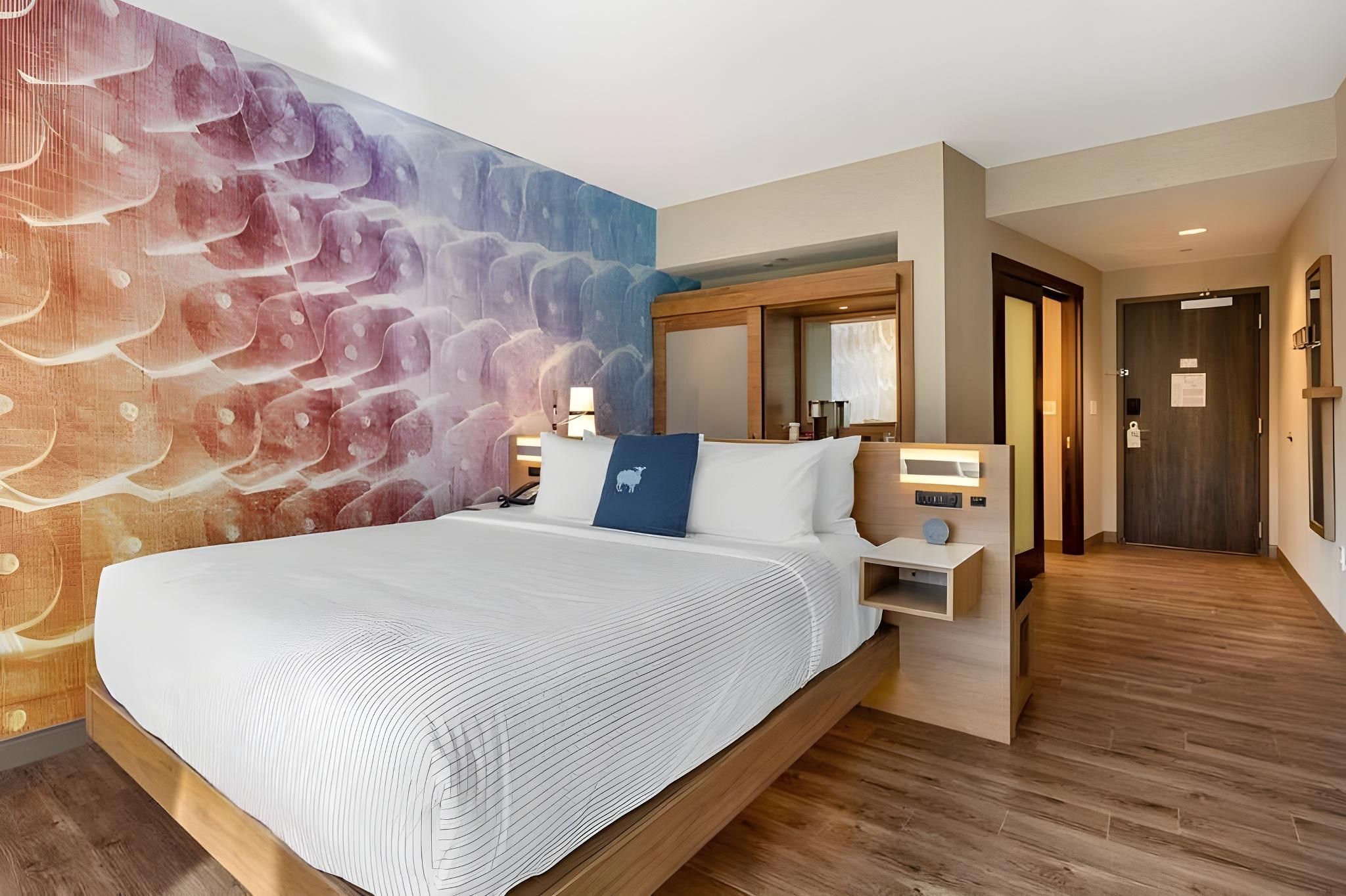 1 King Bed, Nonsmoking, Accessible