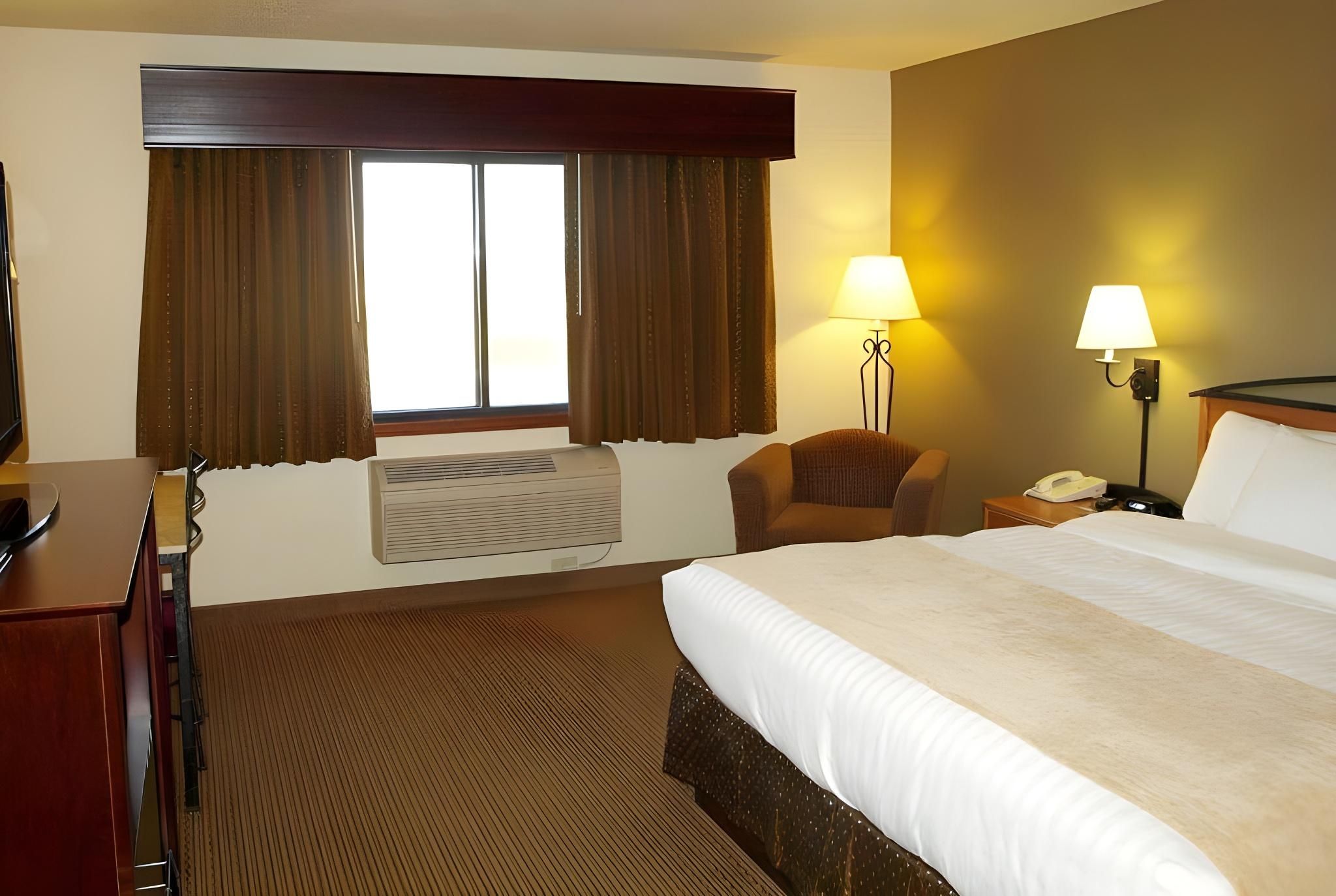 Accessible King Studio Suite Roll in Shower