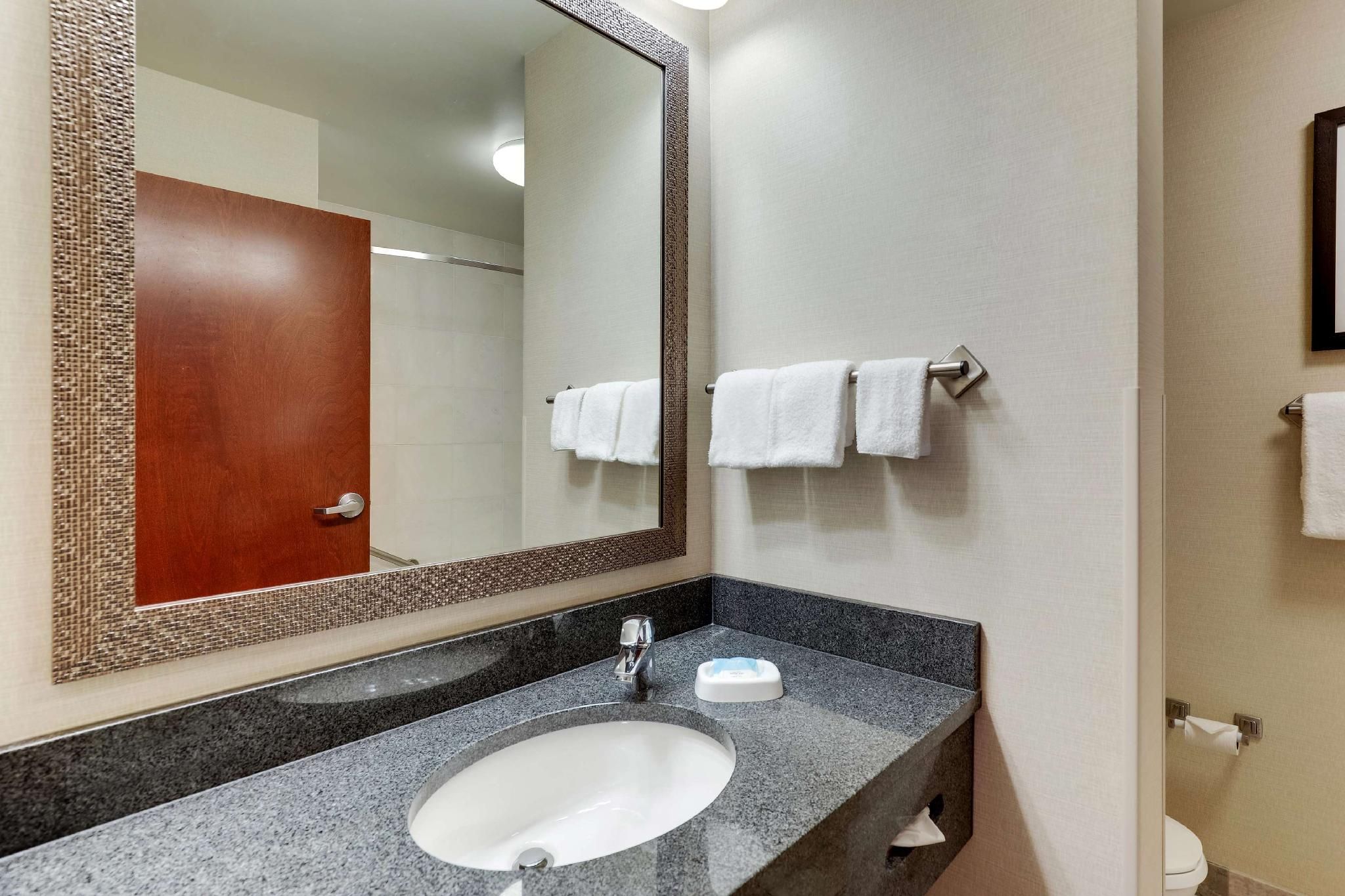 1 King Bed Suite, 2 Rooms with Sofa Sleeper, Accessible with Tub