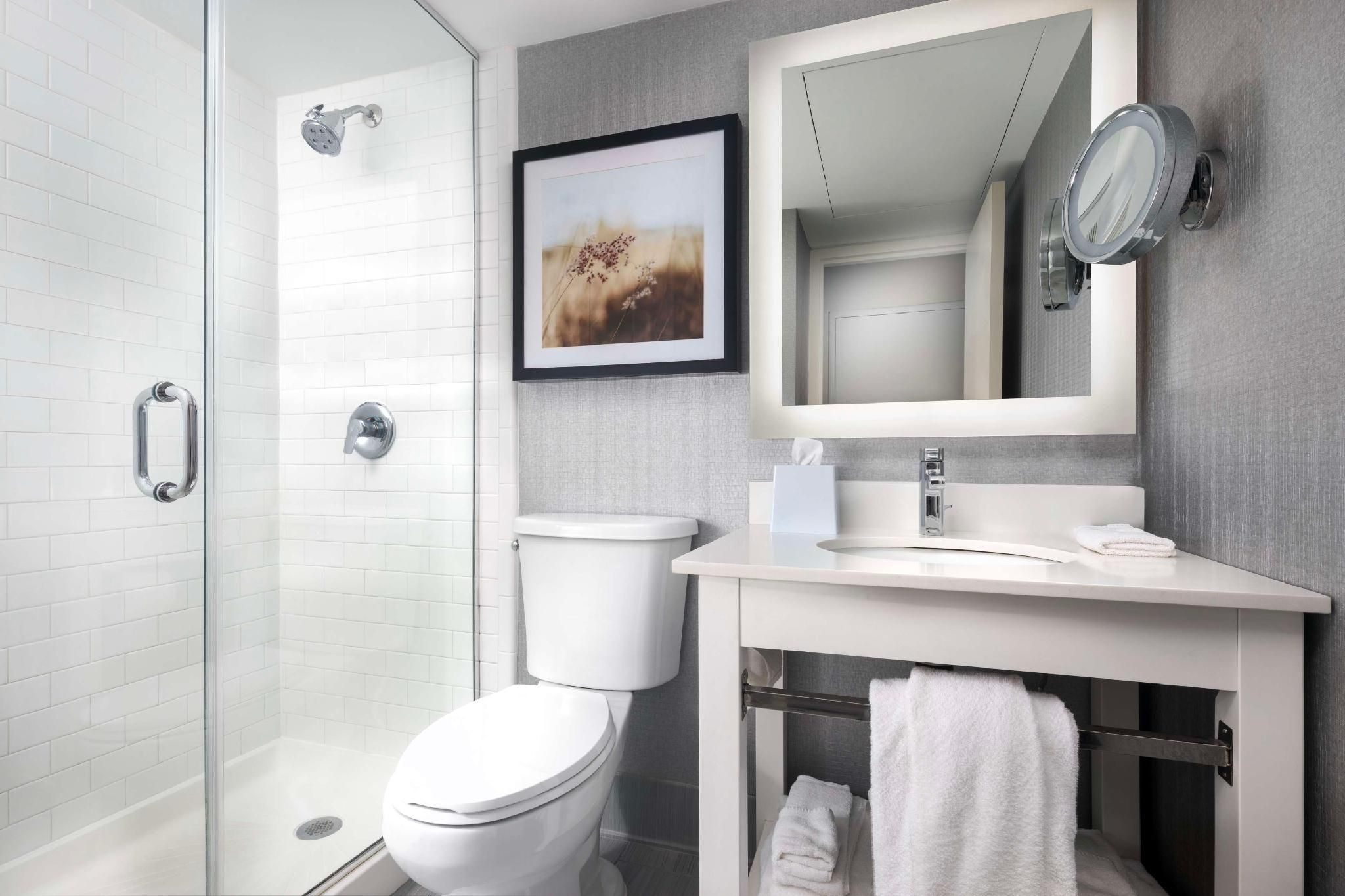 DoubleTree by Hilton Manhattan 1 King Bed Walkin Shower 3