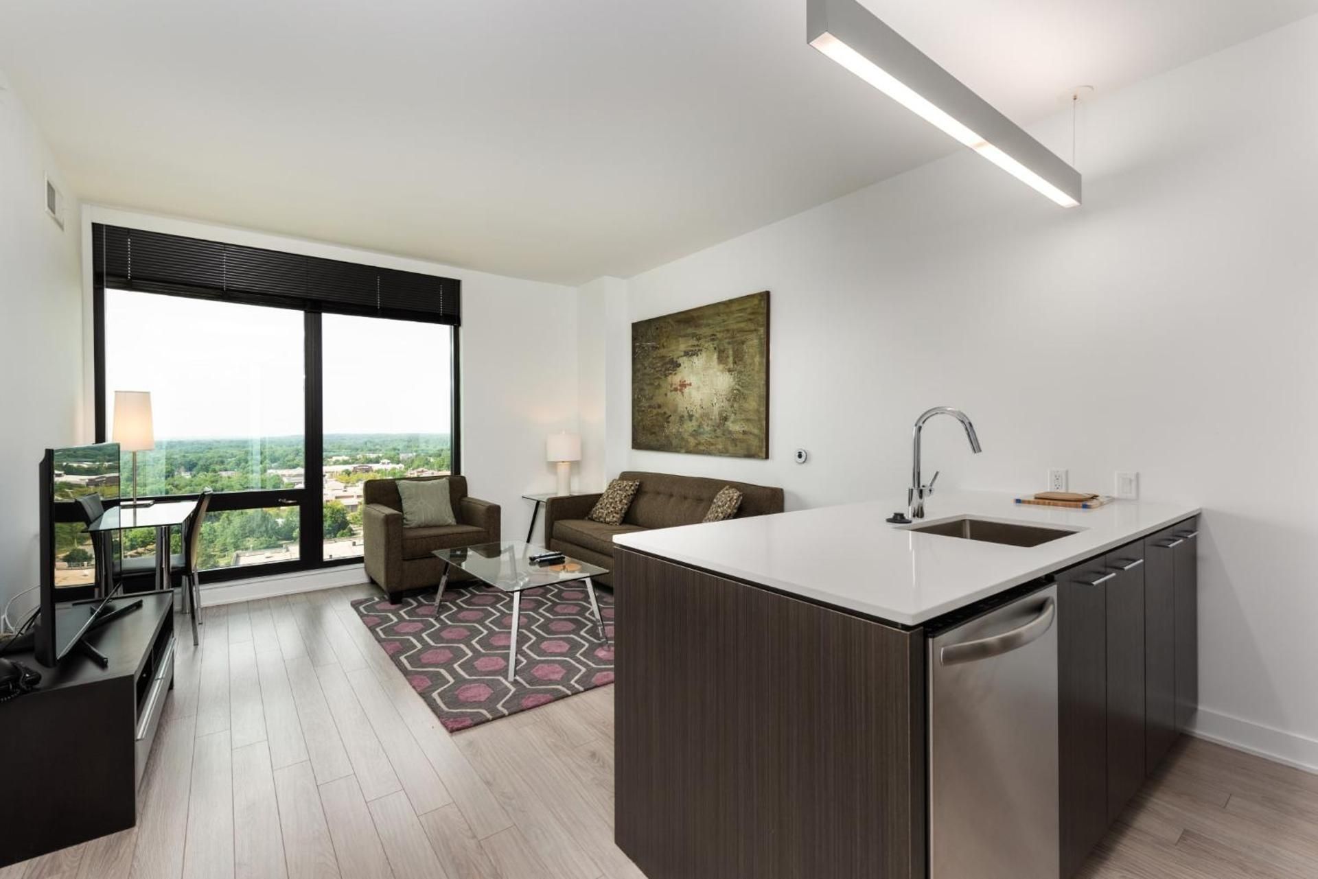 Deluxe One Bedroom Apartment