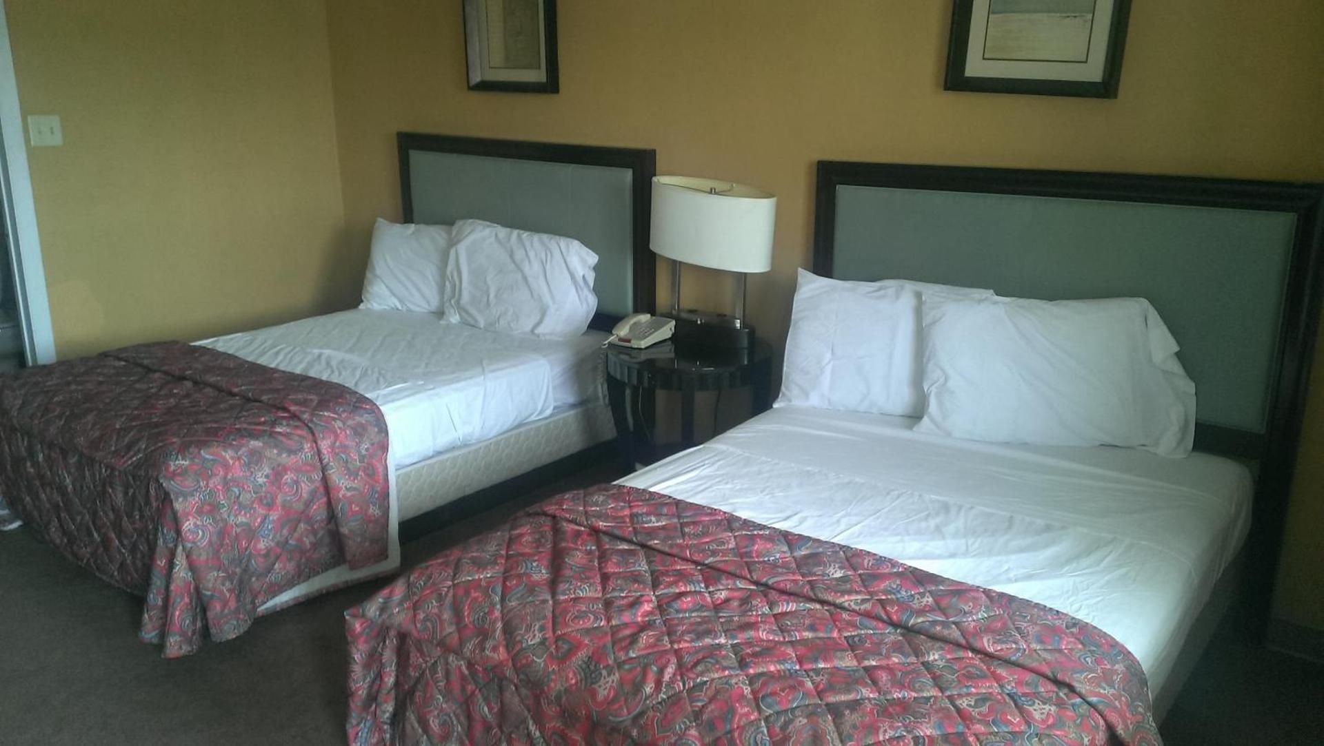 Double Room with Two Double Beds