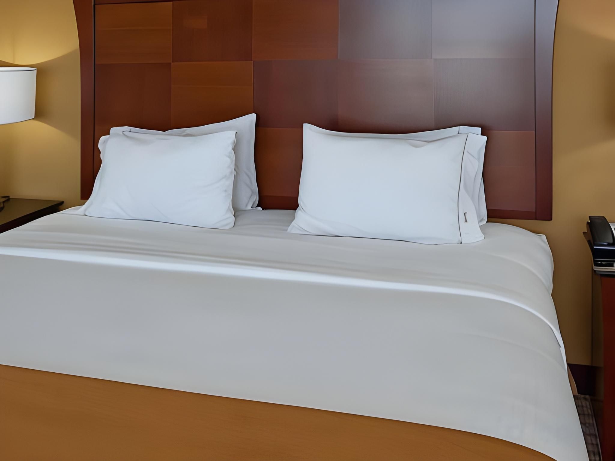 1 King One Bedroom Suite