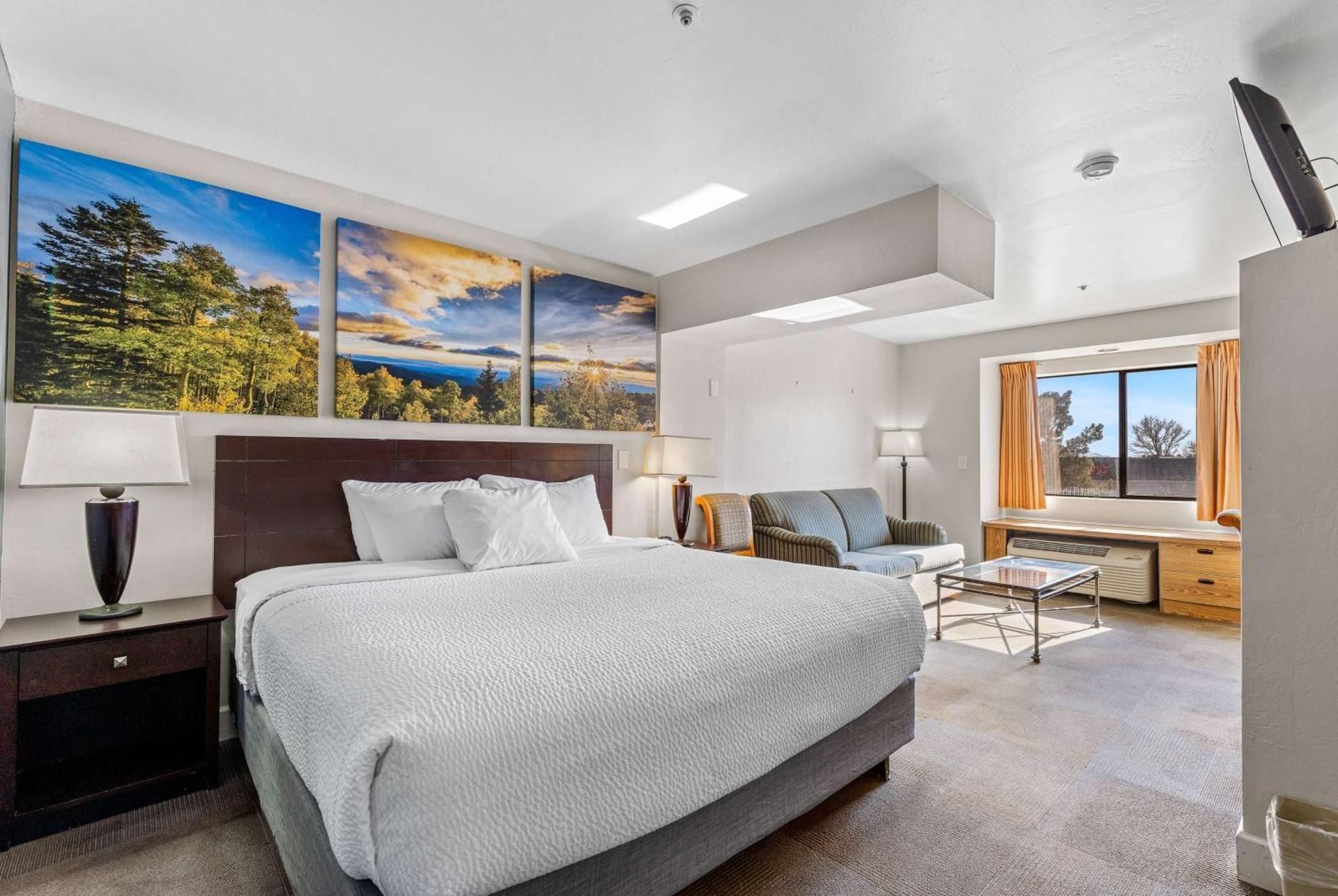 1 King Bed, Studio Suite, Non-Smoking