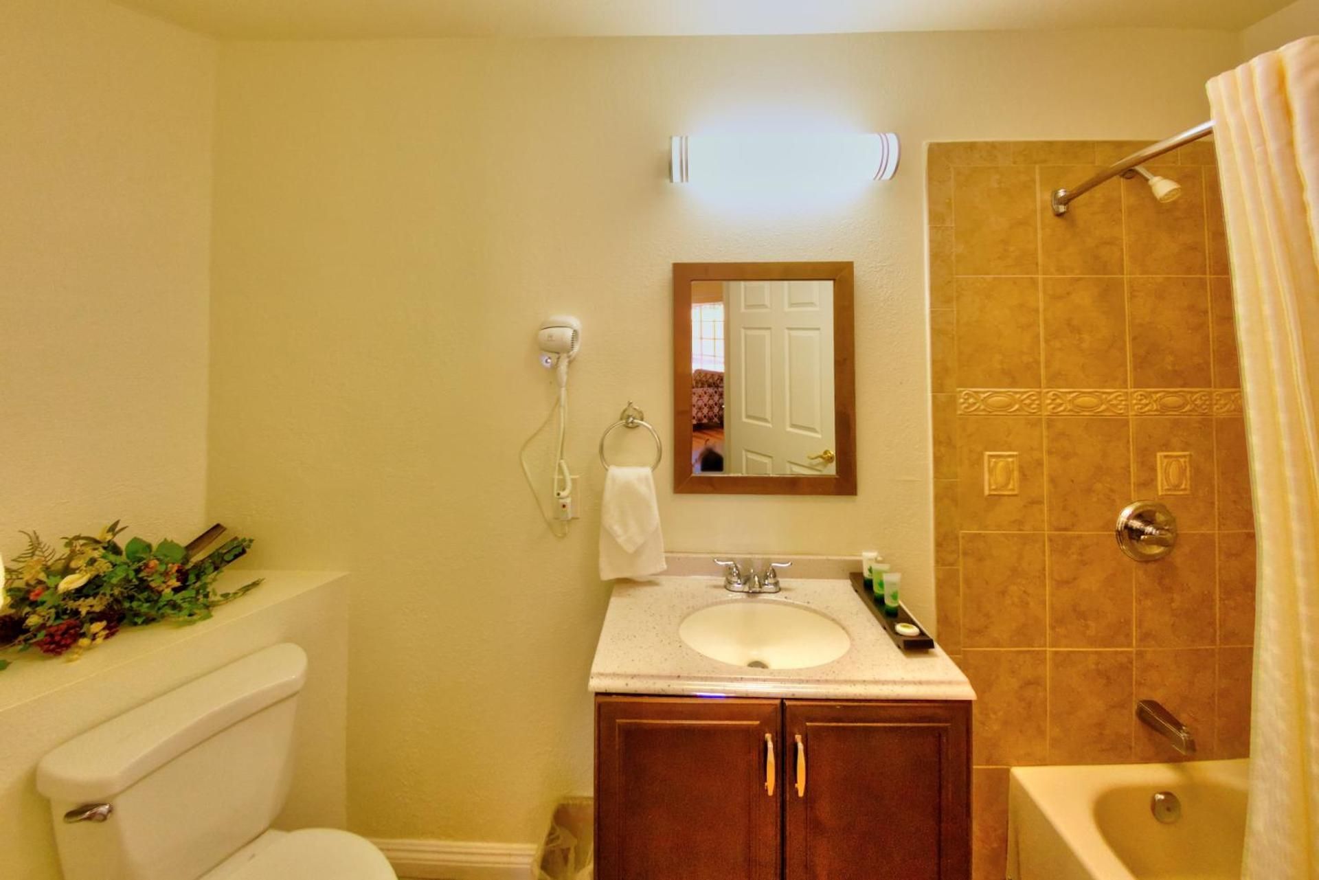 Palm Tropics Motel King 3