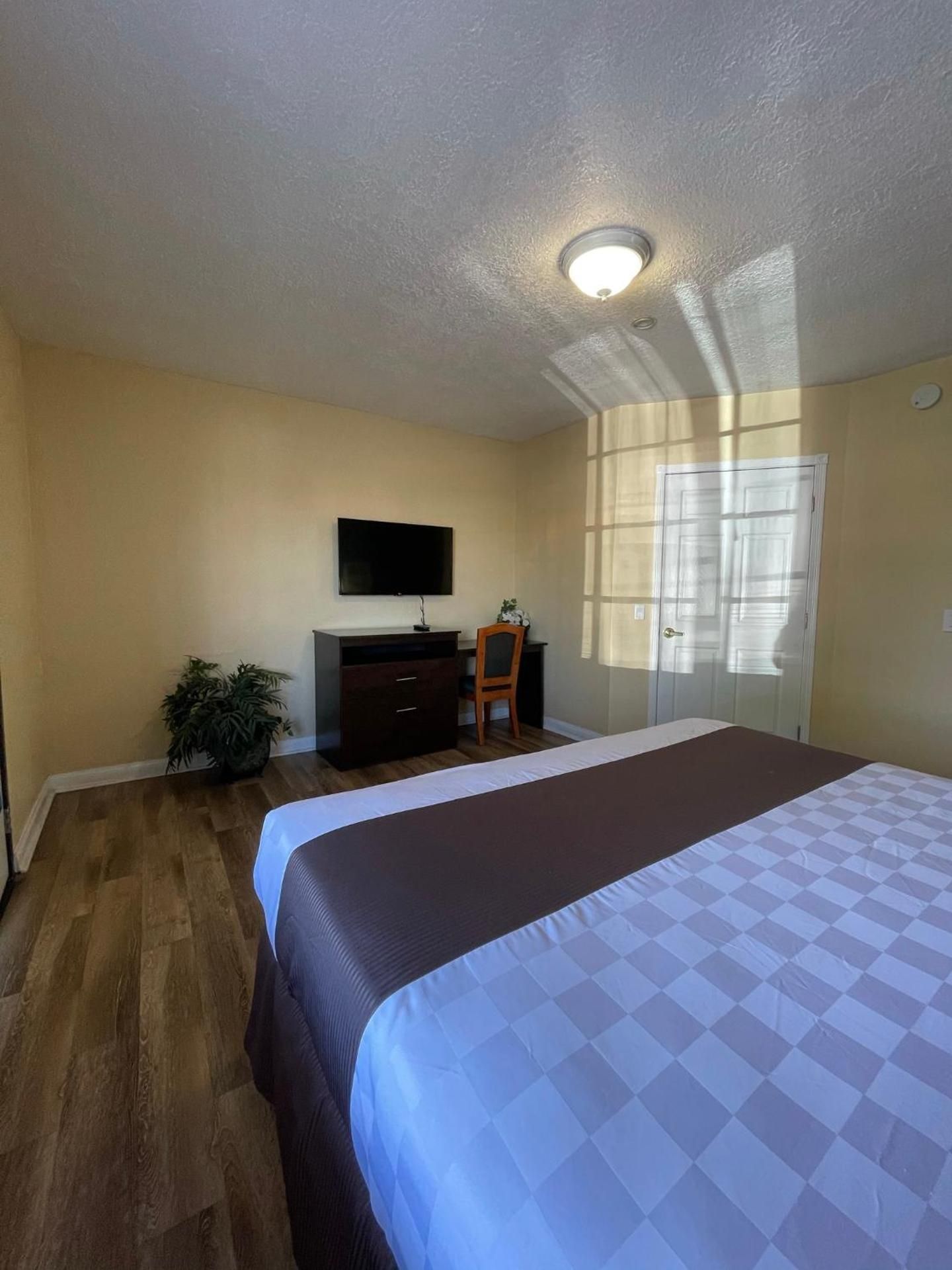 Palm Tropics Motel King Room with Roll-In Shower - Disability Access 2