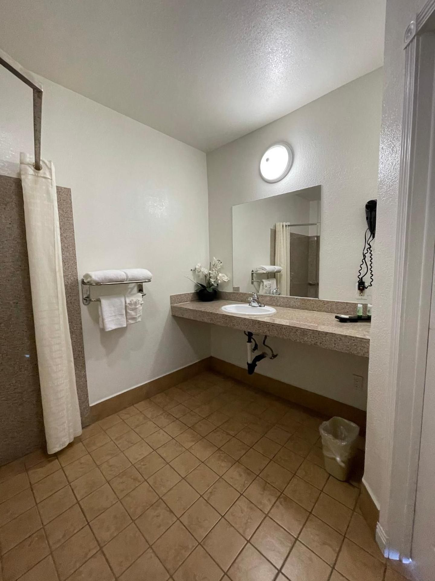 Palm Tropics Motel King Room with Roll-In Shower - Disability Access 3