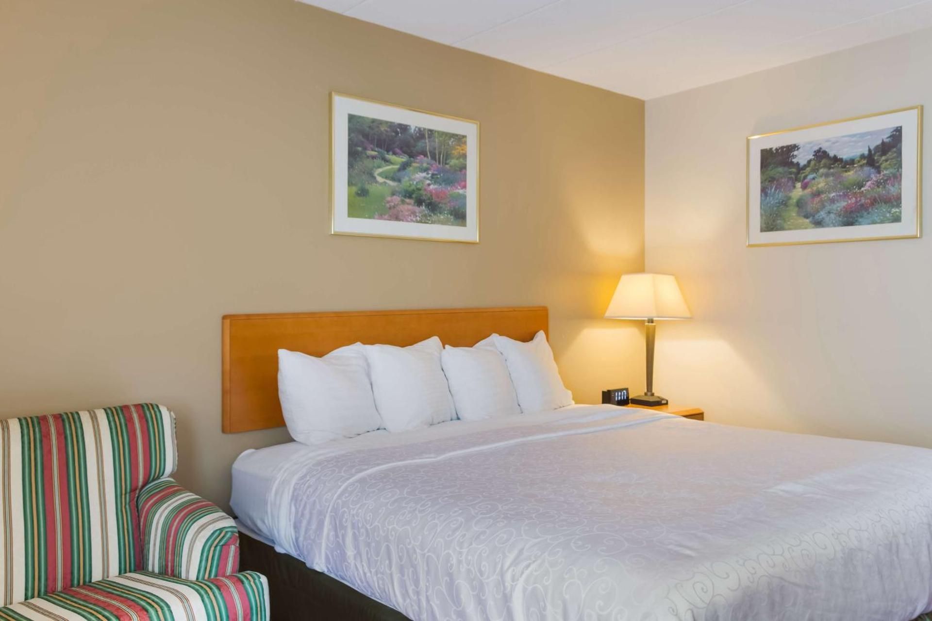 King Room - Pet-Friendly/Non-Smoking
