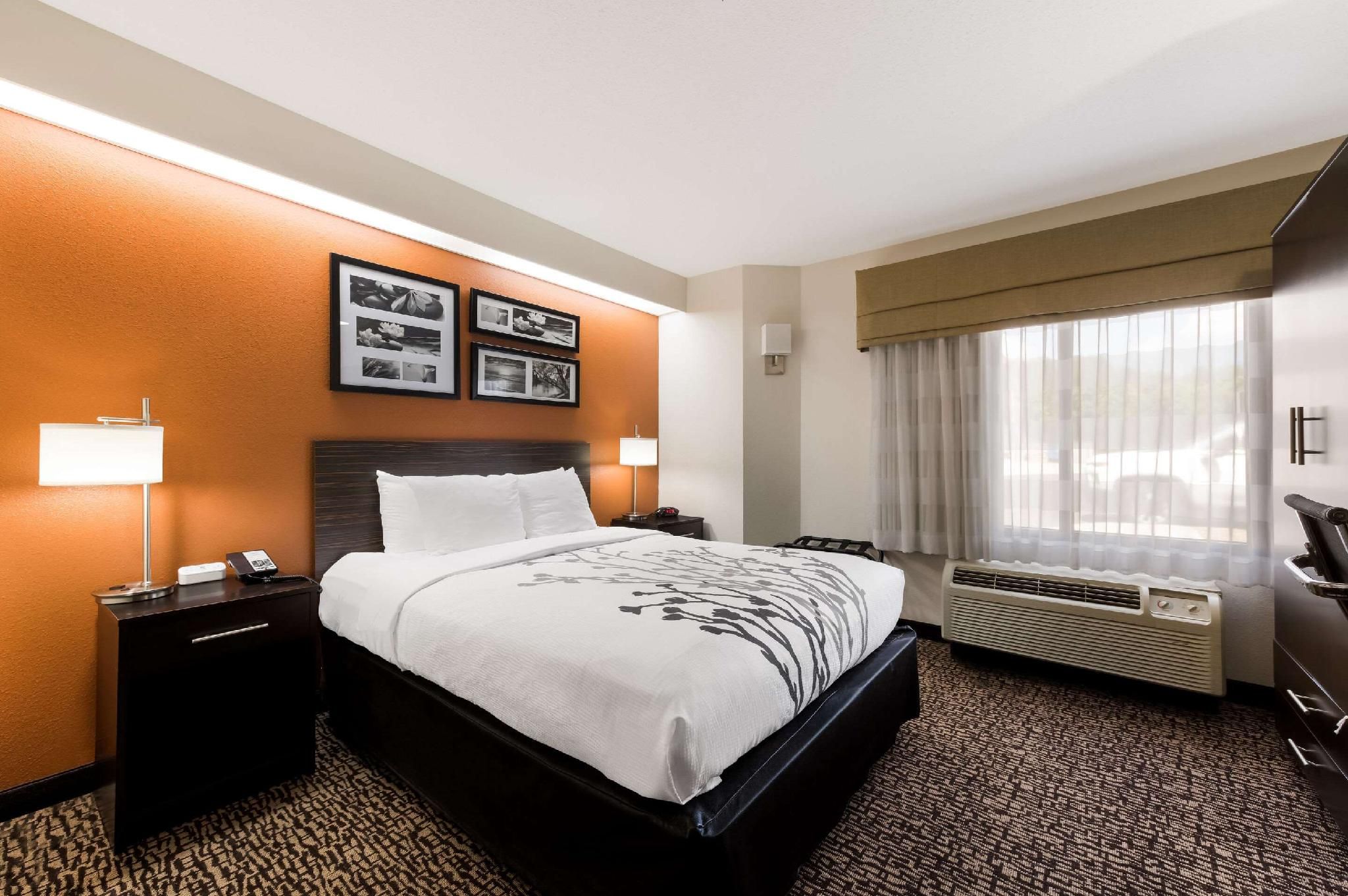 Sleep Inn Kernersville I-40 1 Queen Bed, Nonsmoking, Accessible