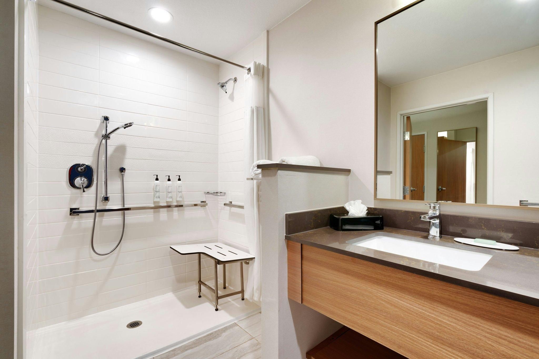 Suite, 1 King, Sofa bed