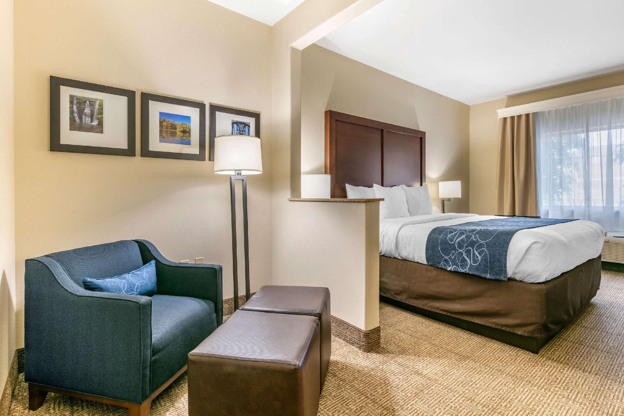 1 Bedroom Accessible