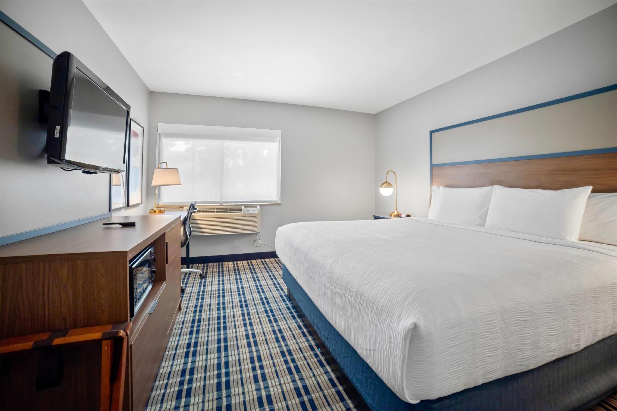 1 King Bed, Non-Smoking