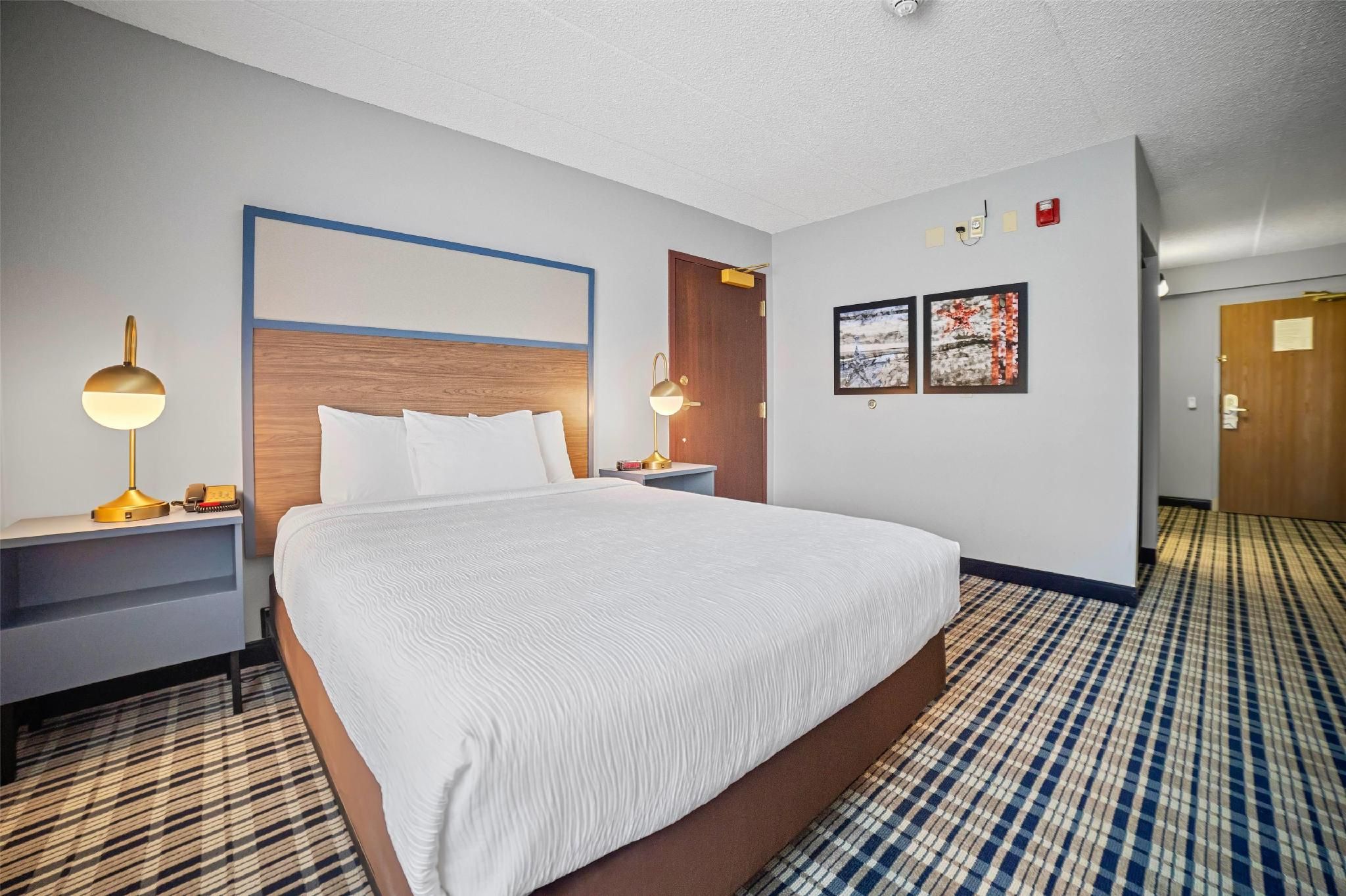 1 Queen Bed, Mobility Accessible Room, Roll-In Shower, Non-Smoking