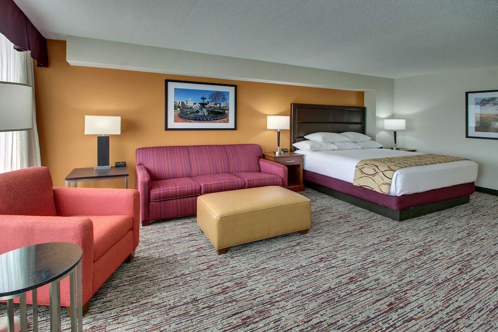 Room, 1 King Bed with Sofa bed (Sofa Sleeper)
