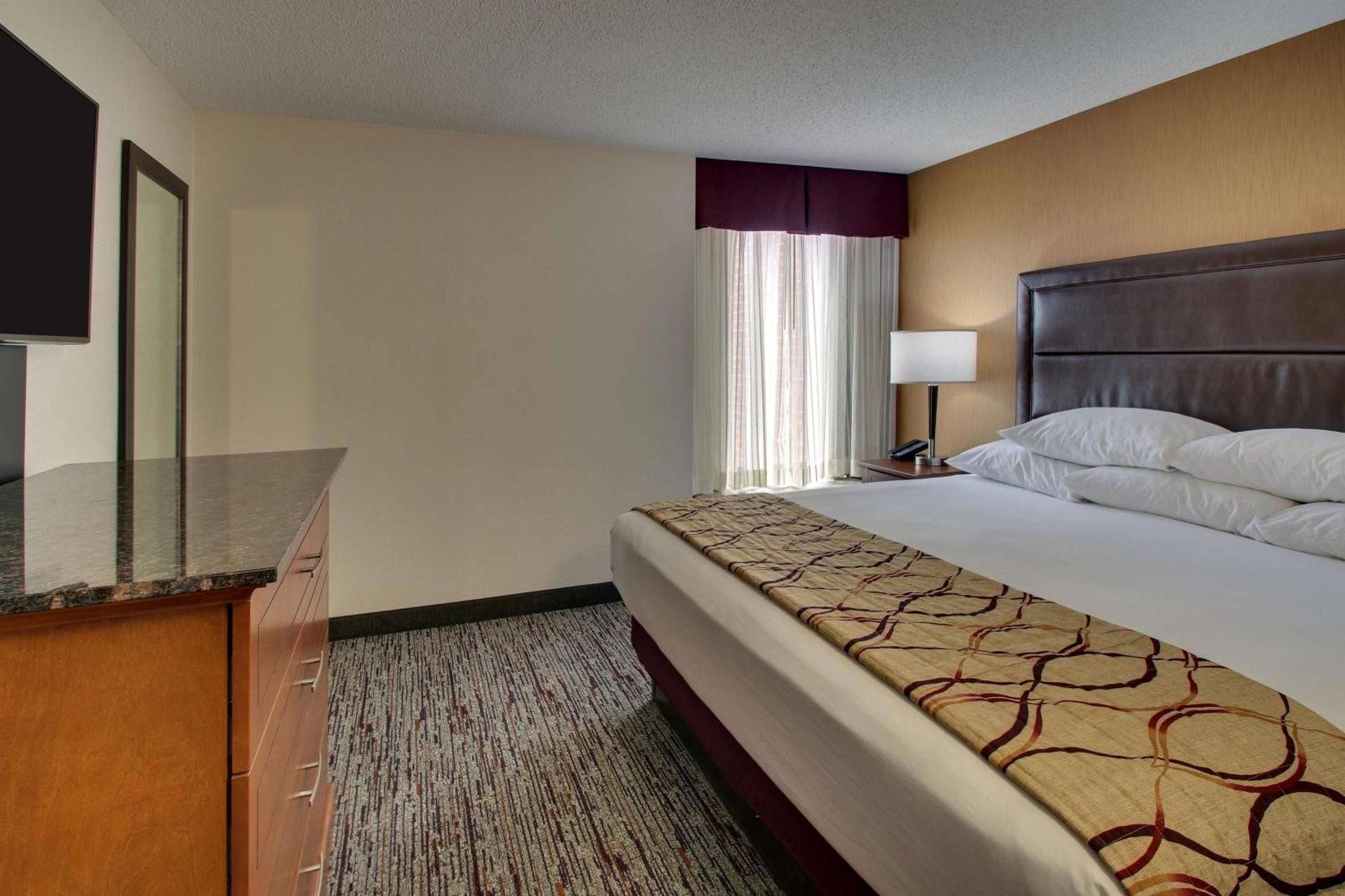 Deluxe King Suite