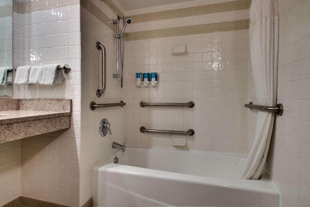 Suite, 1 King Bed with Sofa bed, Accessible (Sofa Sleeper, Tub, 2 Rooms)