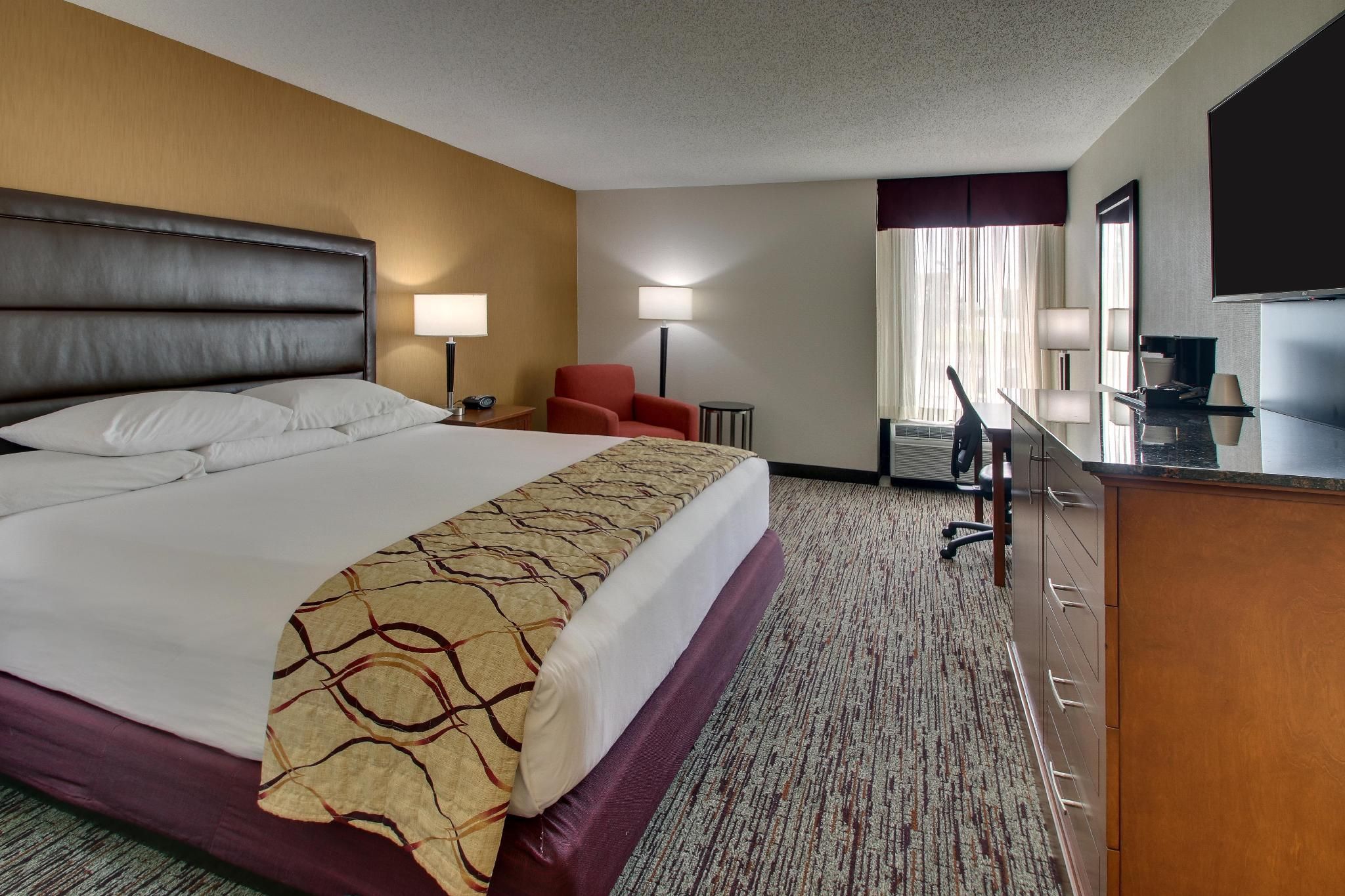 1 King Bed
