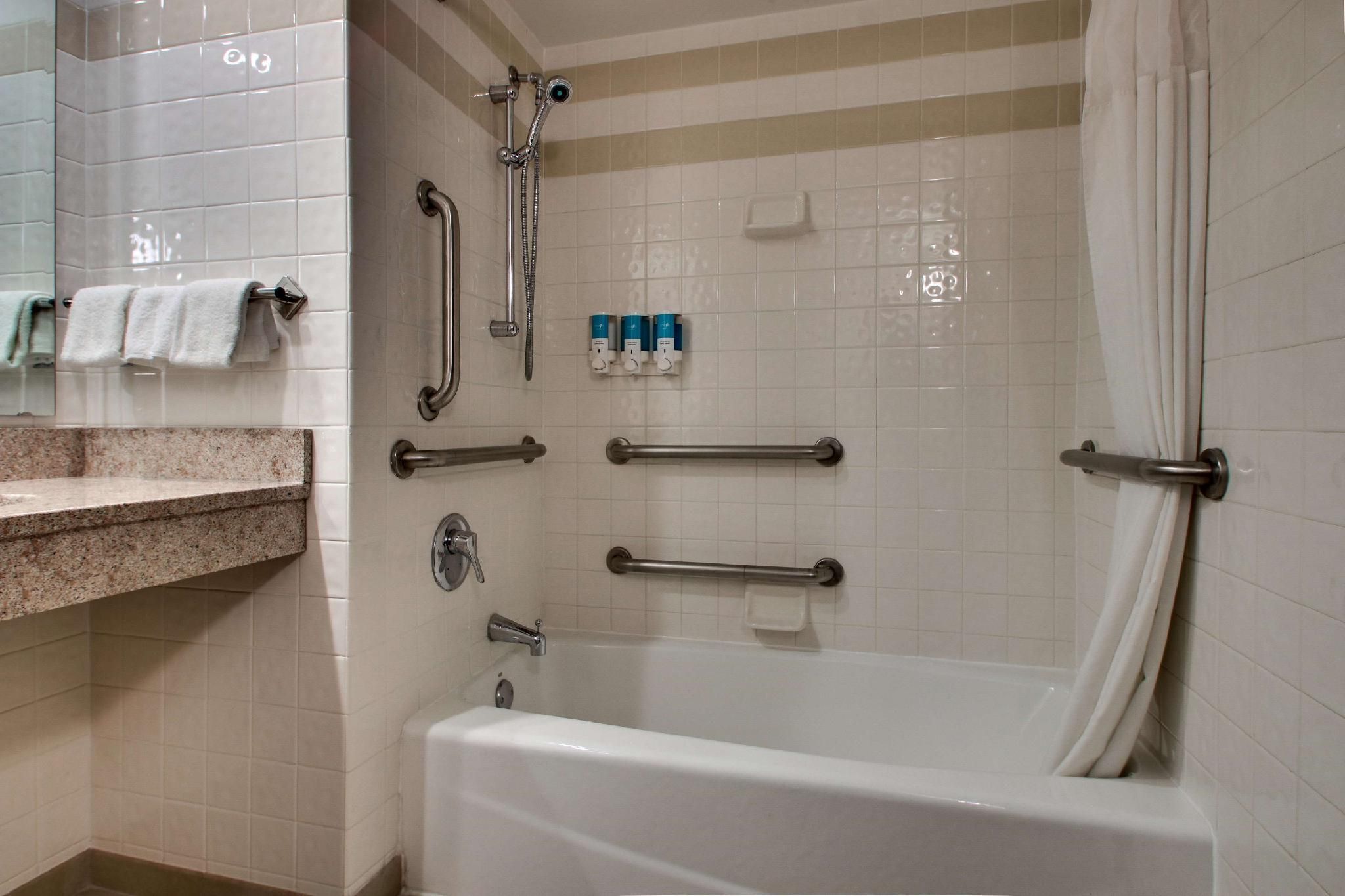 1 King Bed Suite, 2 Rooms with Sofa Sleeper, Accessible with Tub