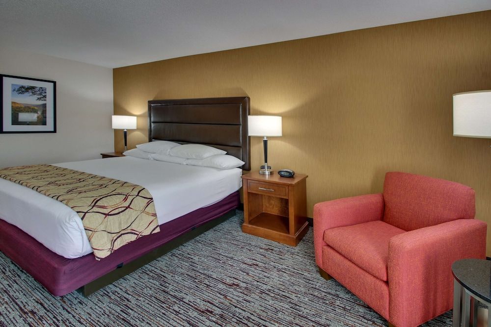 Room, 1 King Bed, Accessible (Tub)