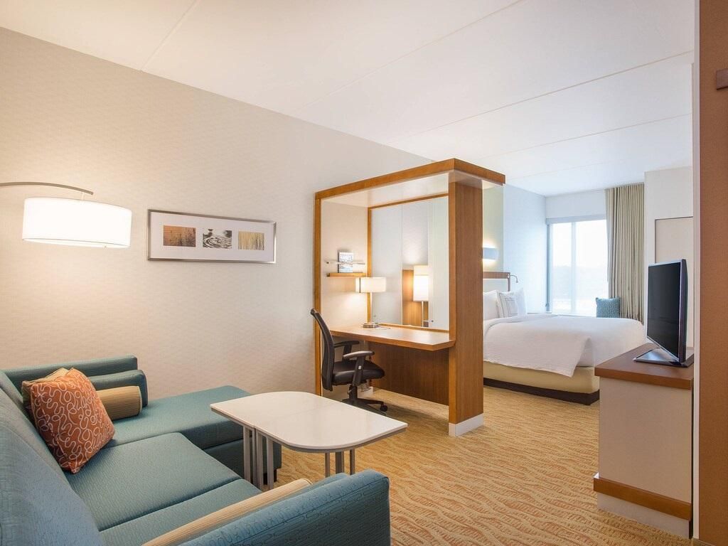Suite, 1 King, Sofa bed