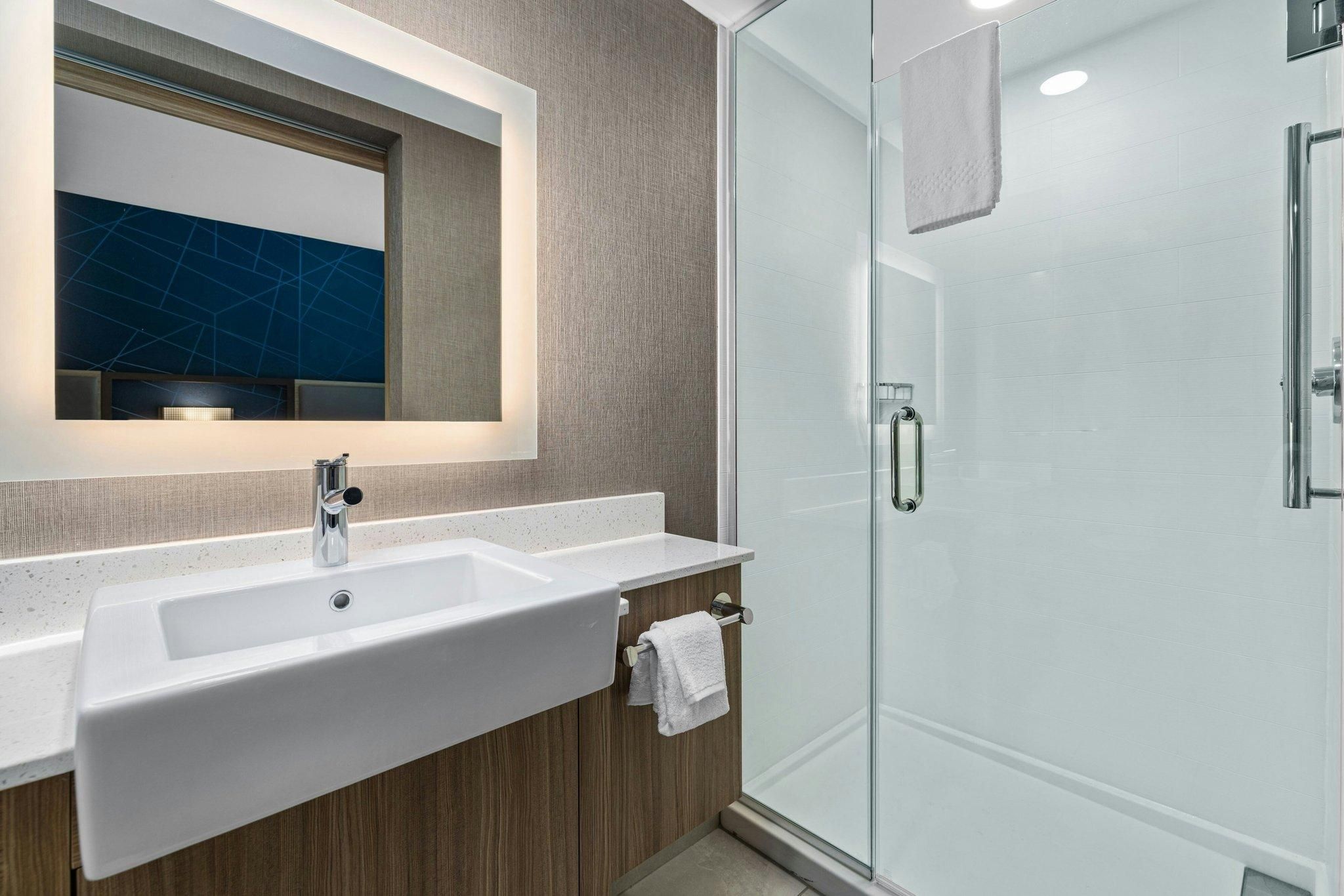 Suite, 1 King, Sofa bed