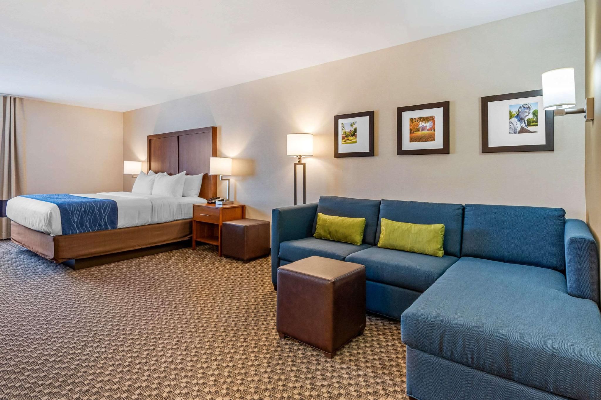 1 King Bed, Suite, Nonsmoking