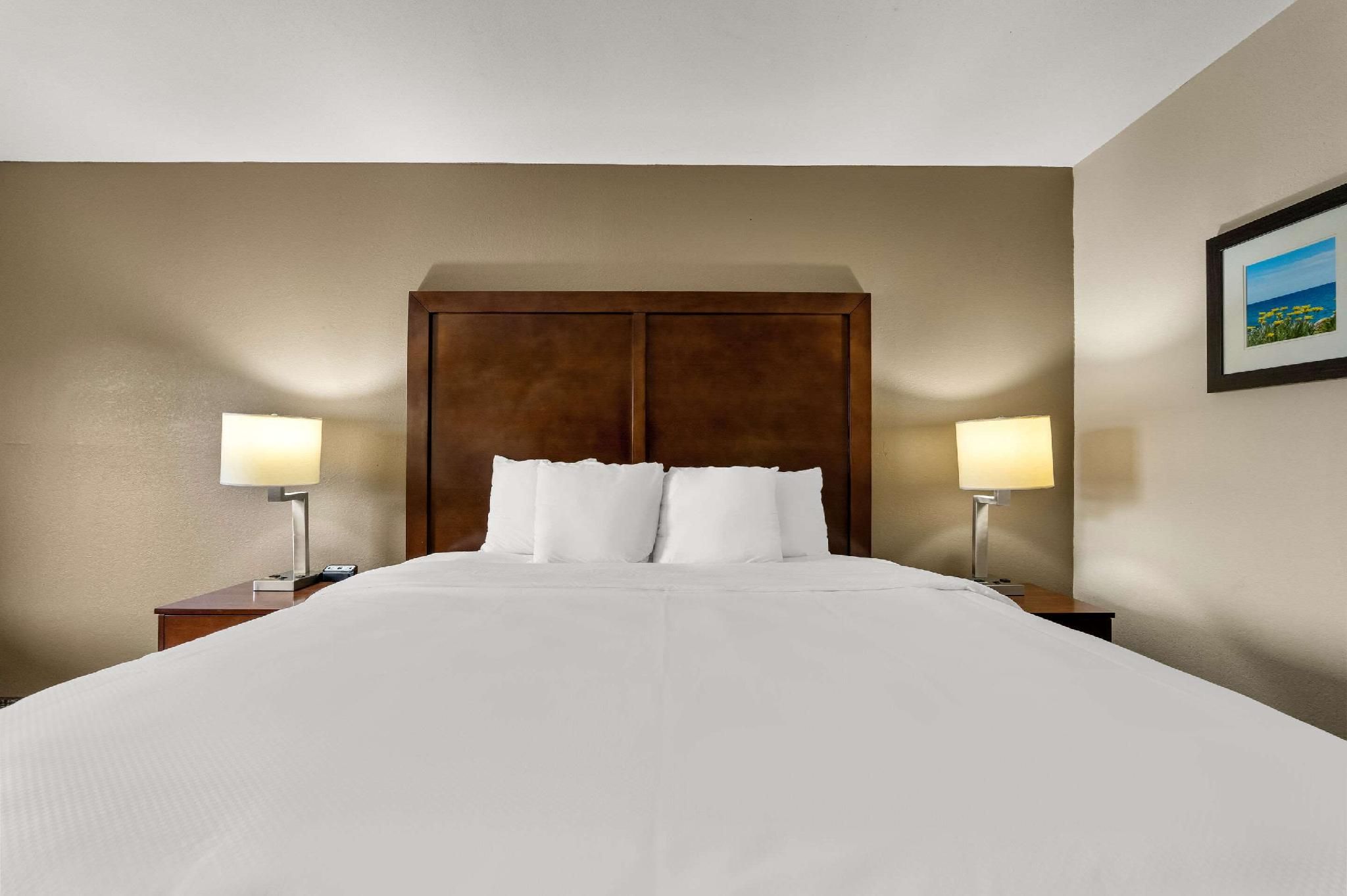 1 King Bed, Nonsmoking