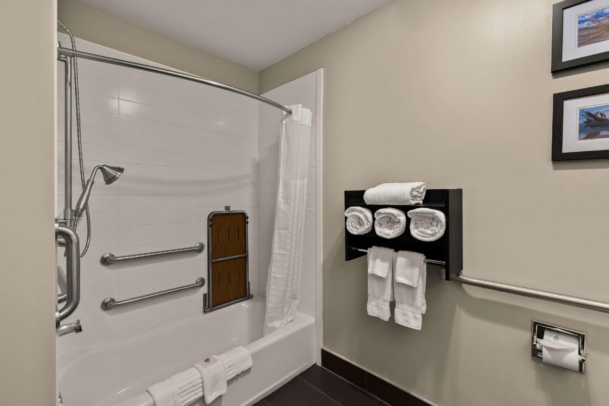 1 King Bed, Nonsmoking, Accessible