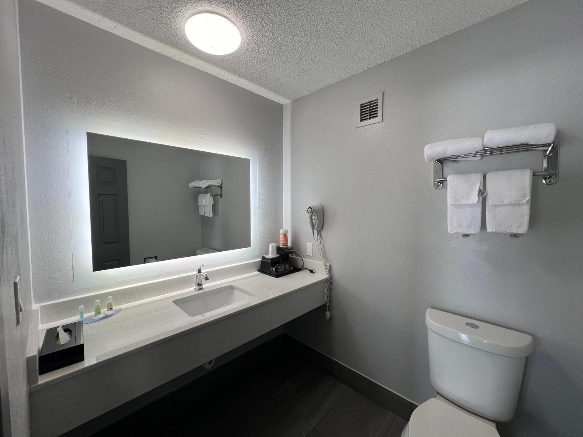 1 King Bed, Nonsmoking, Accessible