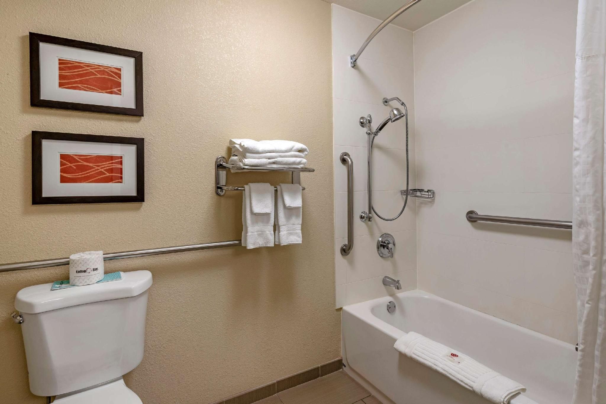 Comfort Inn Roseburg 1 King Bed, Nonsmoking, Accessible 3