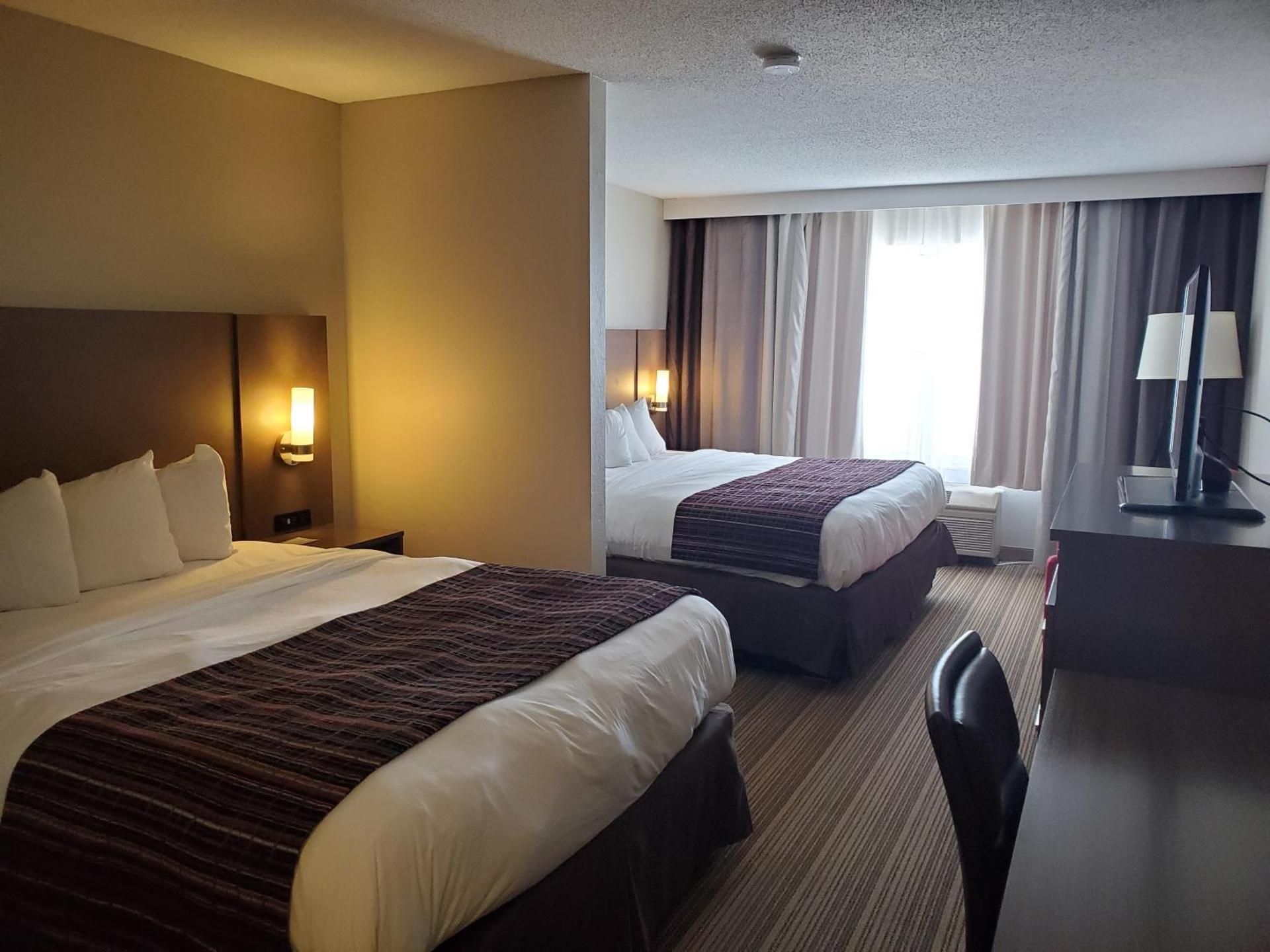 Studio Suite 2 King Beds Non Smoking