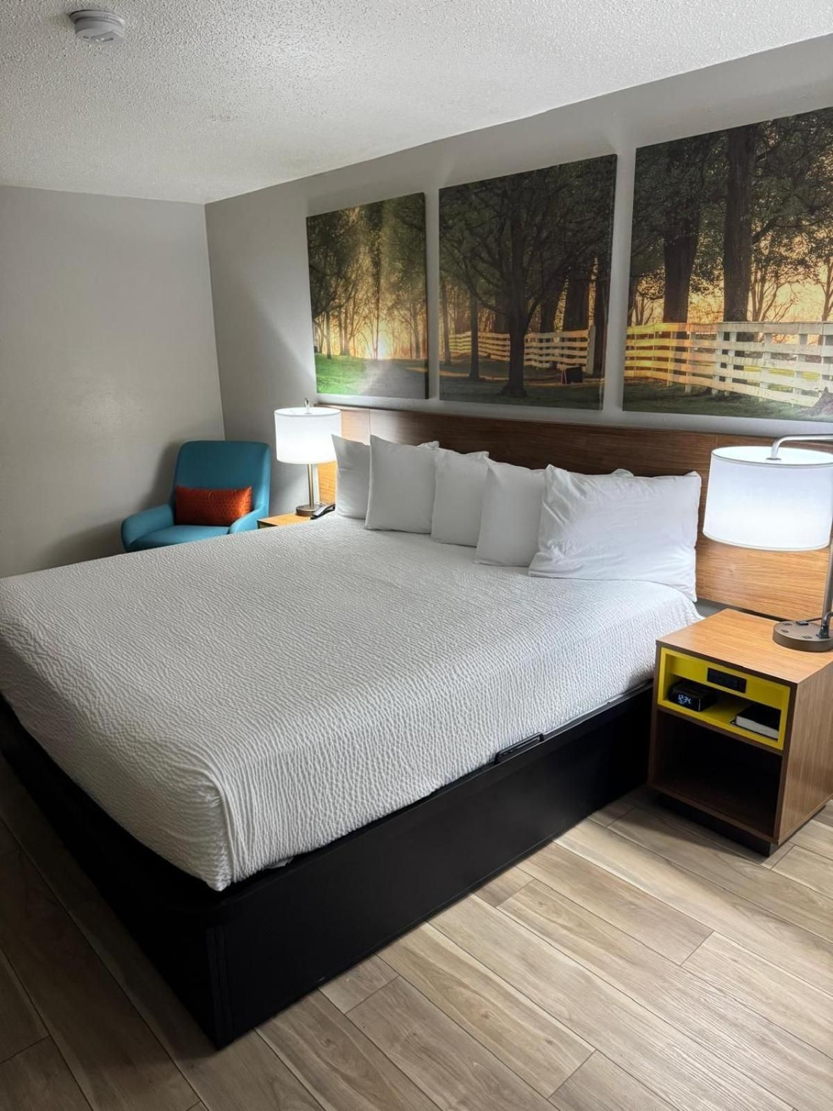 1 King Bed, Non-Smoking