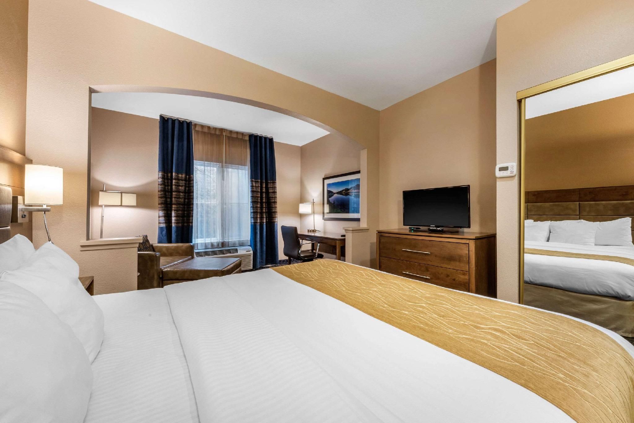 1 King Bed, Suite, Nonsmoking